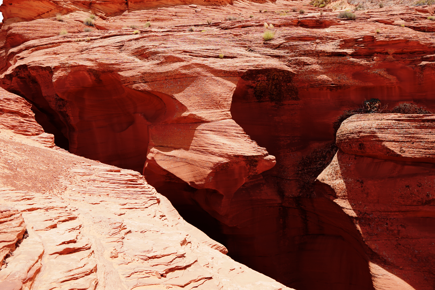 Vibrant red sandstone rock formations with deep crevices and textured layers in a desert canyon.