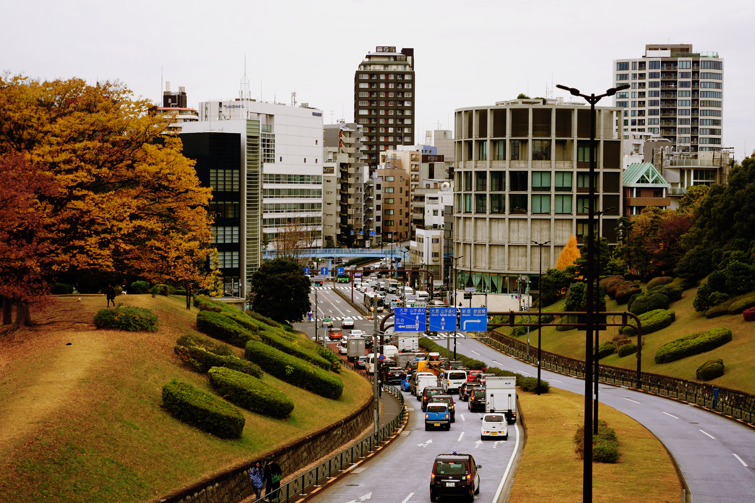 Busy urban road with autumn trees and manicured hedges leading into Yokohama city center, Japan.
