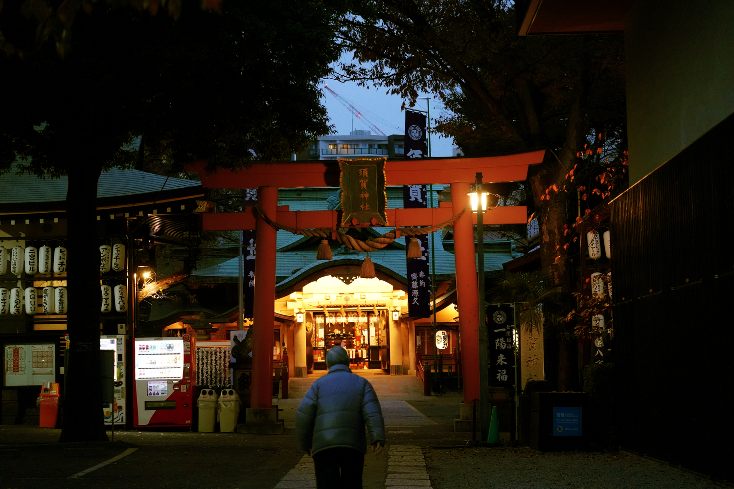 Person walking toward illuminated red torii gate and shrine entrance at dusk in Japan.