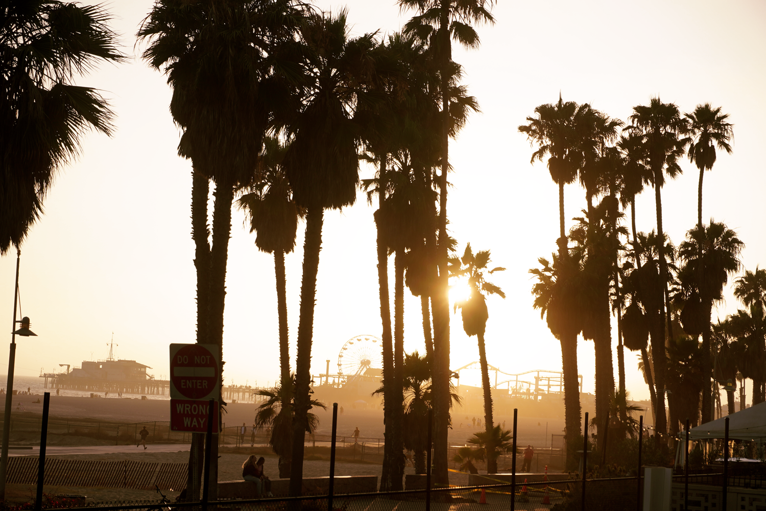 Silhouetted palm trees at golden sunset on Venice Beach, California, with pier visible in the background.