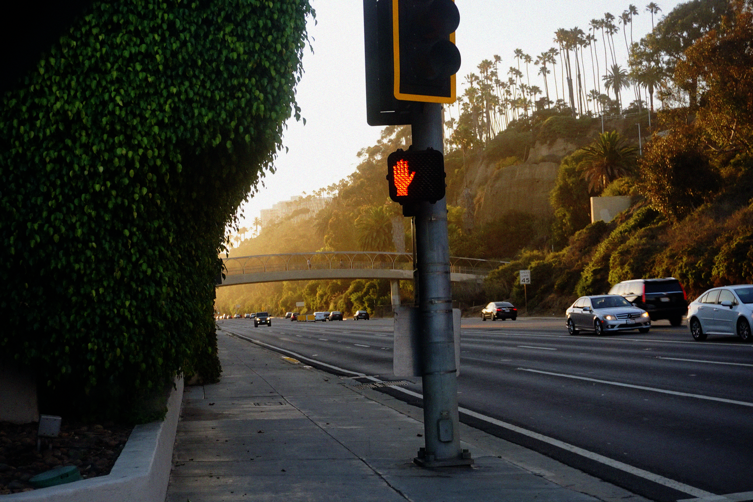 Red pedestrian traffic signal light on Sunset Boulevard with palm tree hills and highway in background.