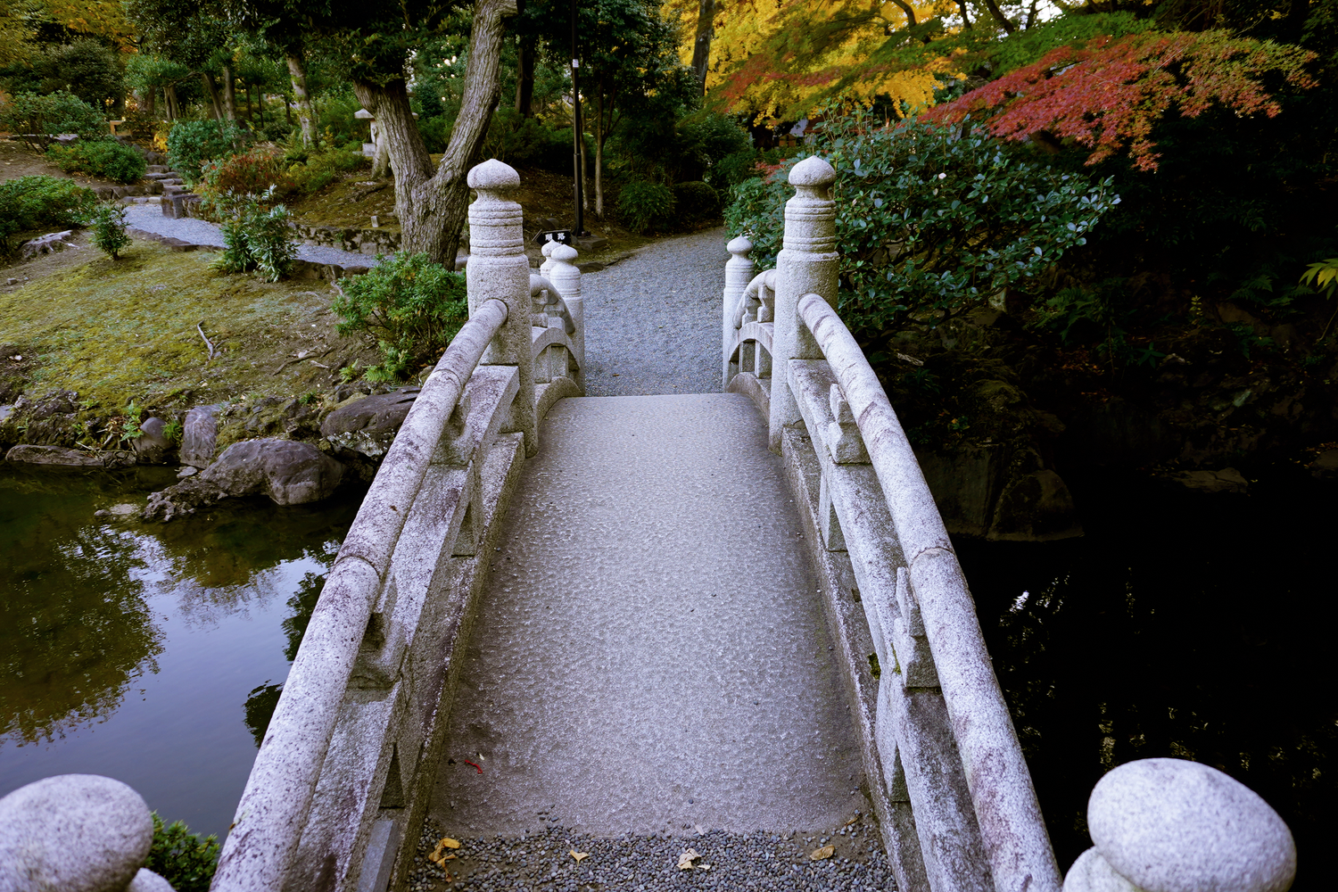 Stone bridge over a tranquil pond in a Japanese garden with autumn foliage.