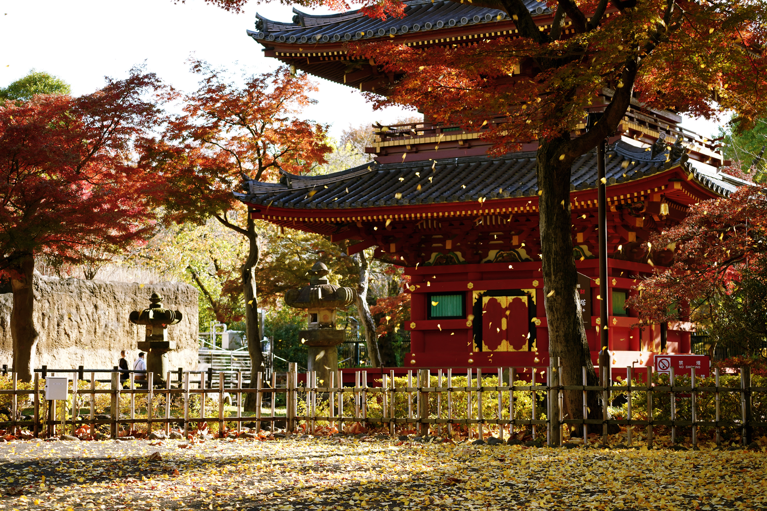 Red Japanese temple surrounded by vibrant autumn foliage with fallen yellow leaves covering the ground.