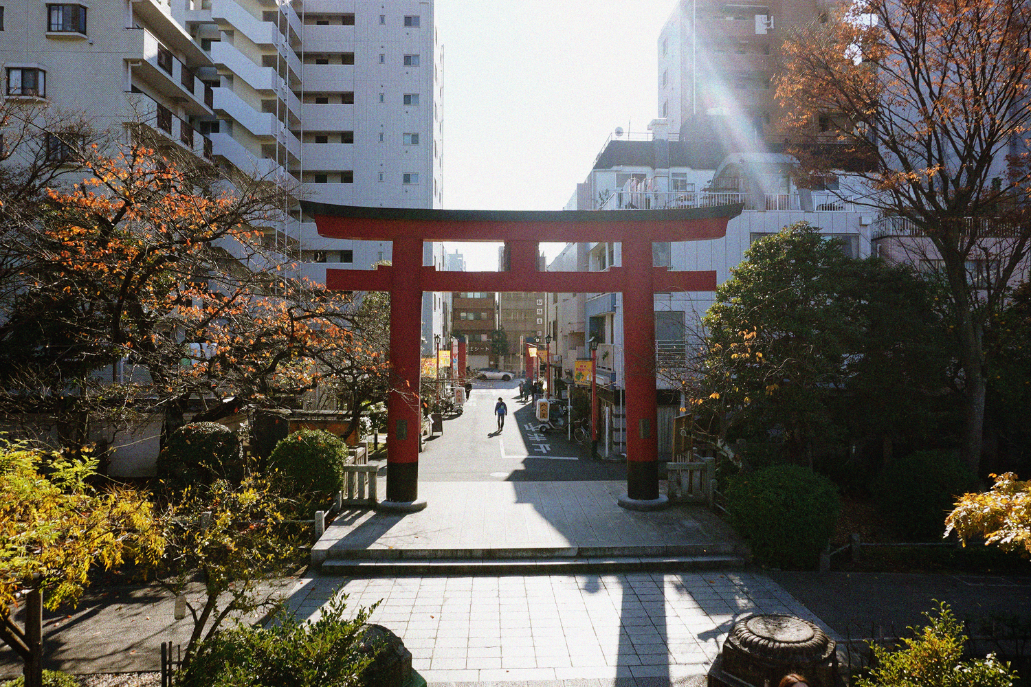Red torii gate entrance to a small Japanese shrine surrounded by autumn trees in urban setting.