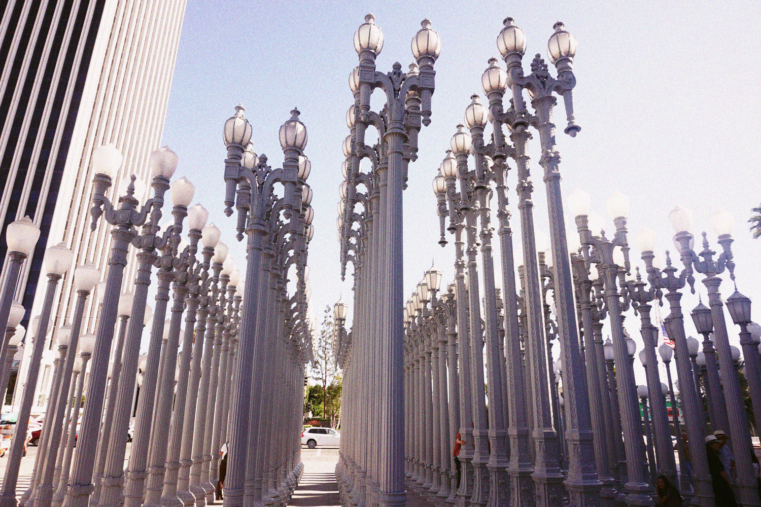 Rows of vintage ornate white street lamp posts at the Urban Light installation at LACMA, Los Angeles.