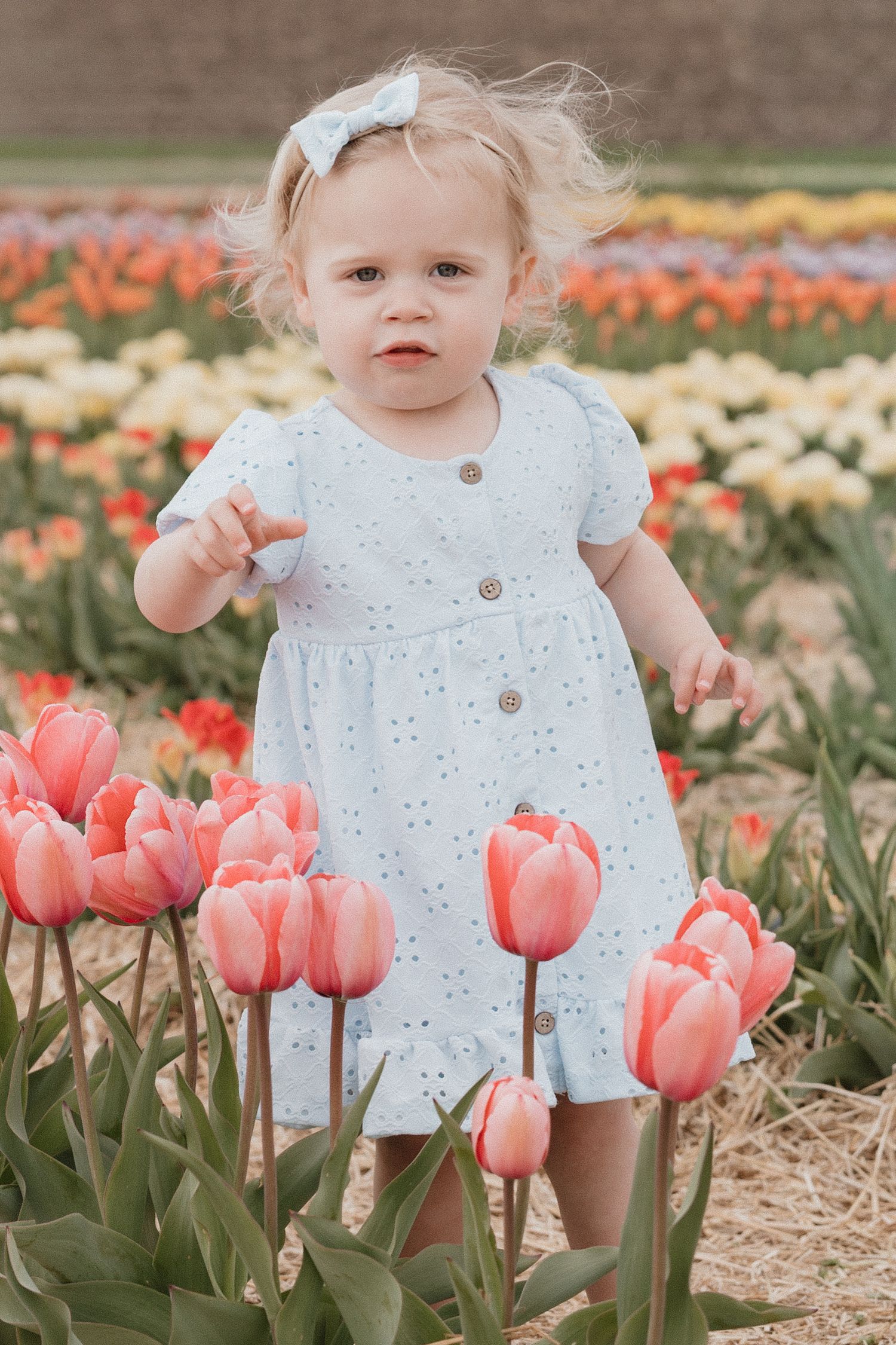 Toddler girl in white dress standing among pink tulips in a colorful flower field.