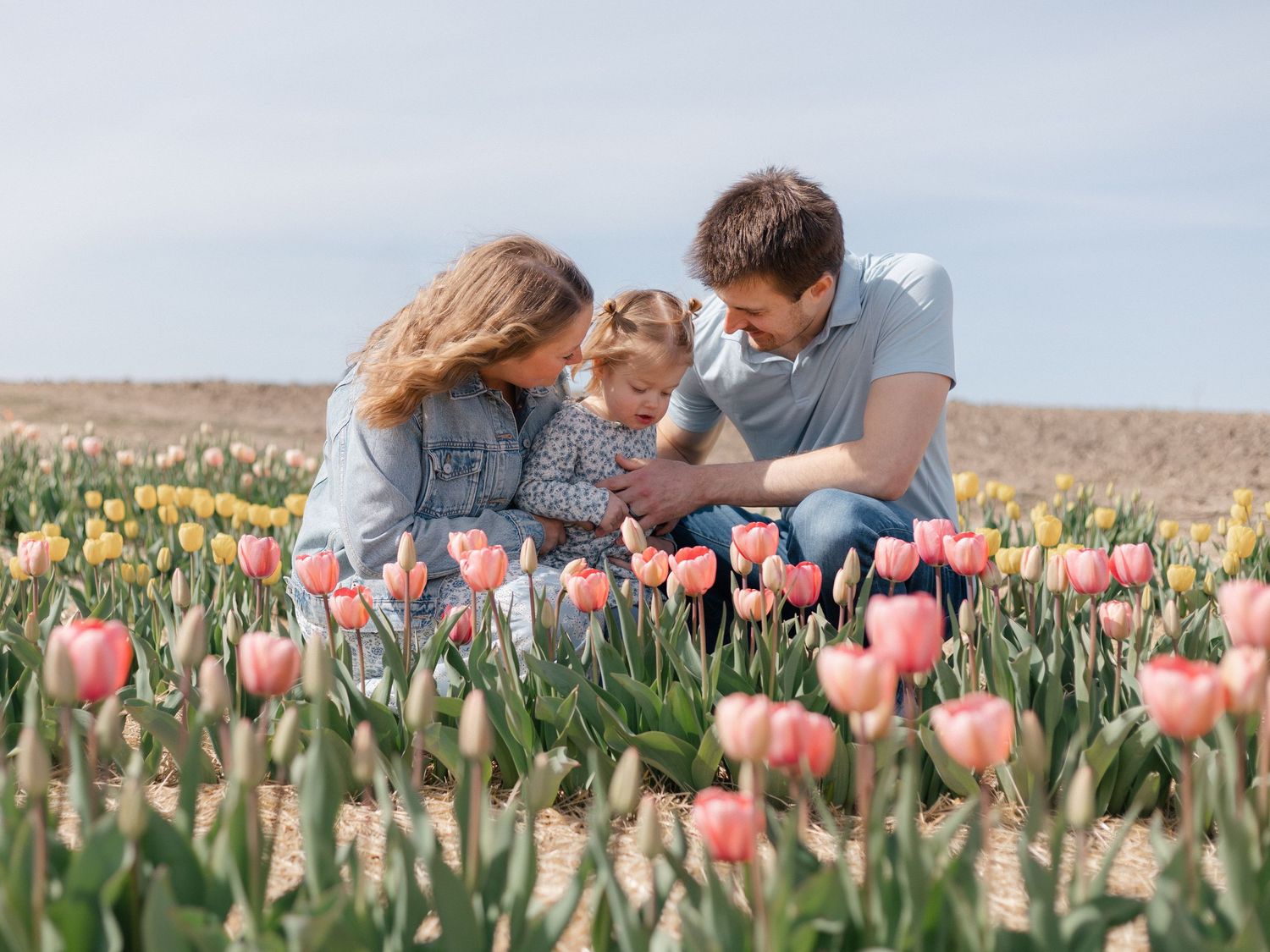 Family with young child sitting among colorful pink and yellow tulips in a blooming flower field on a sunny day.