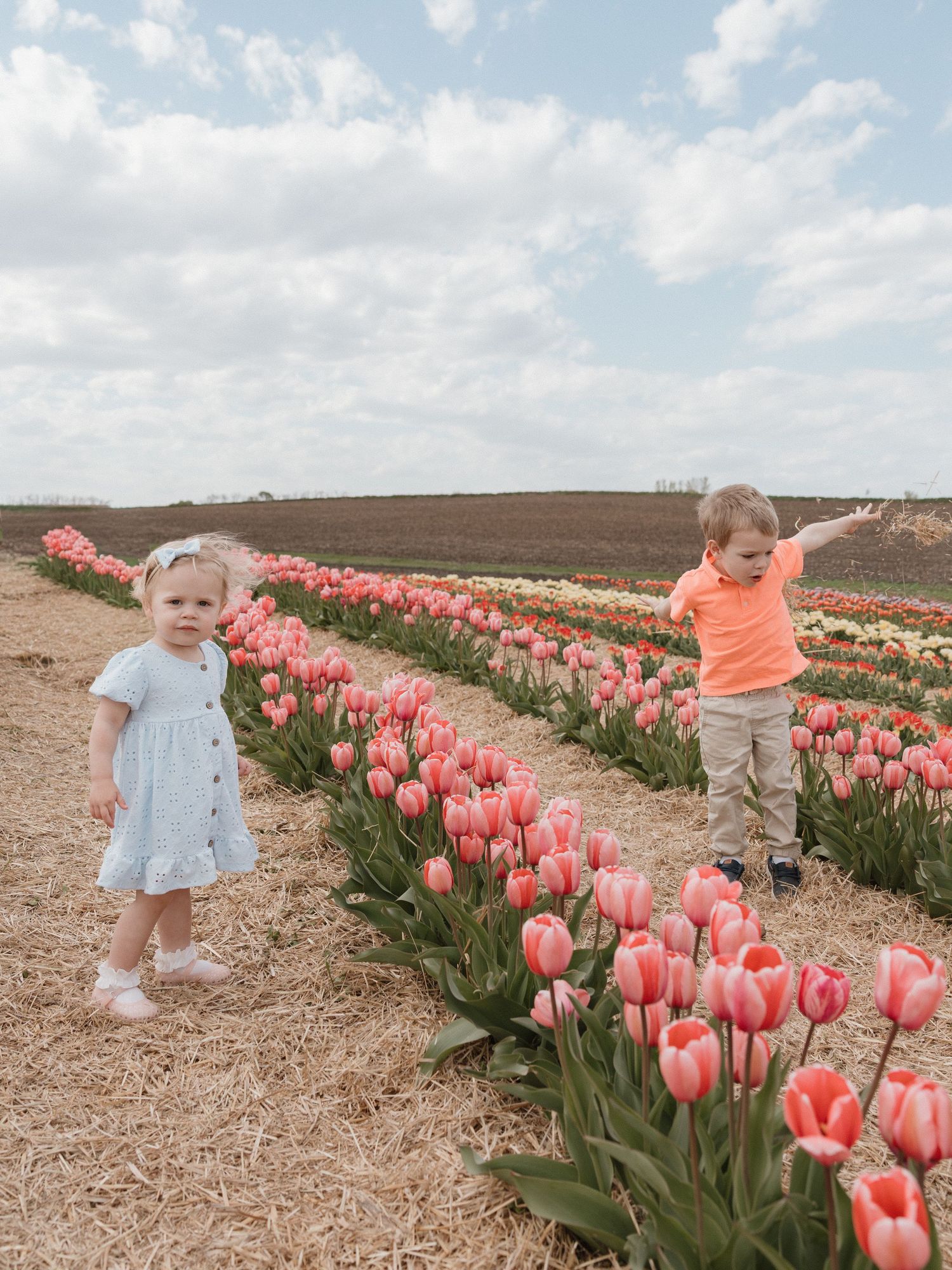 Two young children stand among rows of pink tulips in a flower field under a cloudy sky.