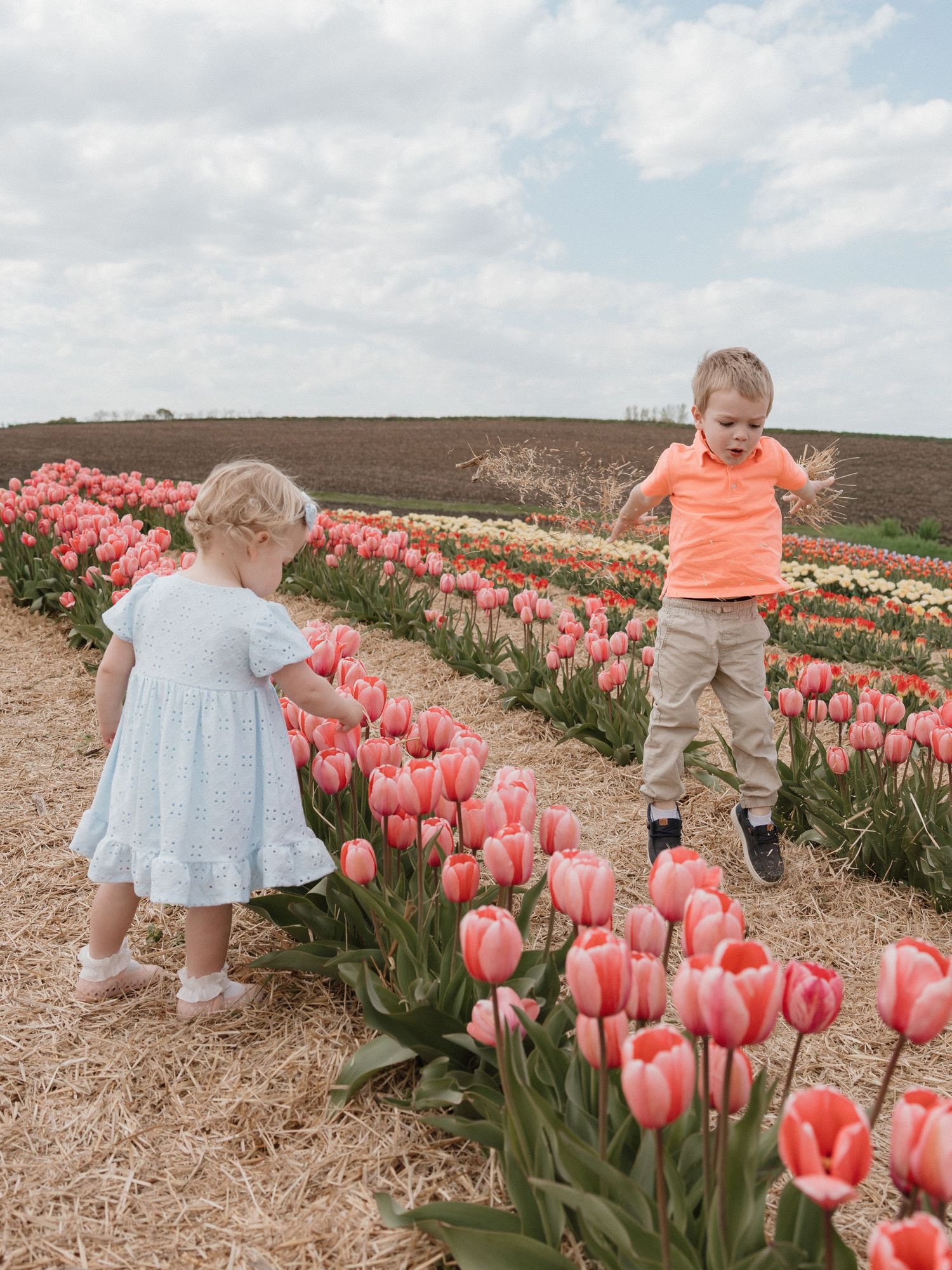 Two young children explore vibrant rows of pink tulips in a blooming flower field on a cloudy spring day.