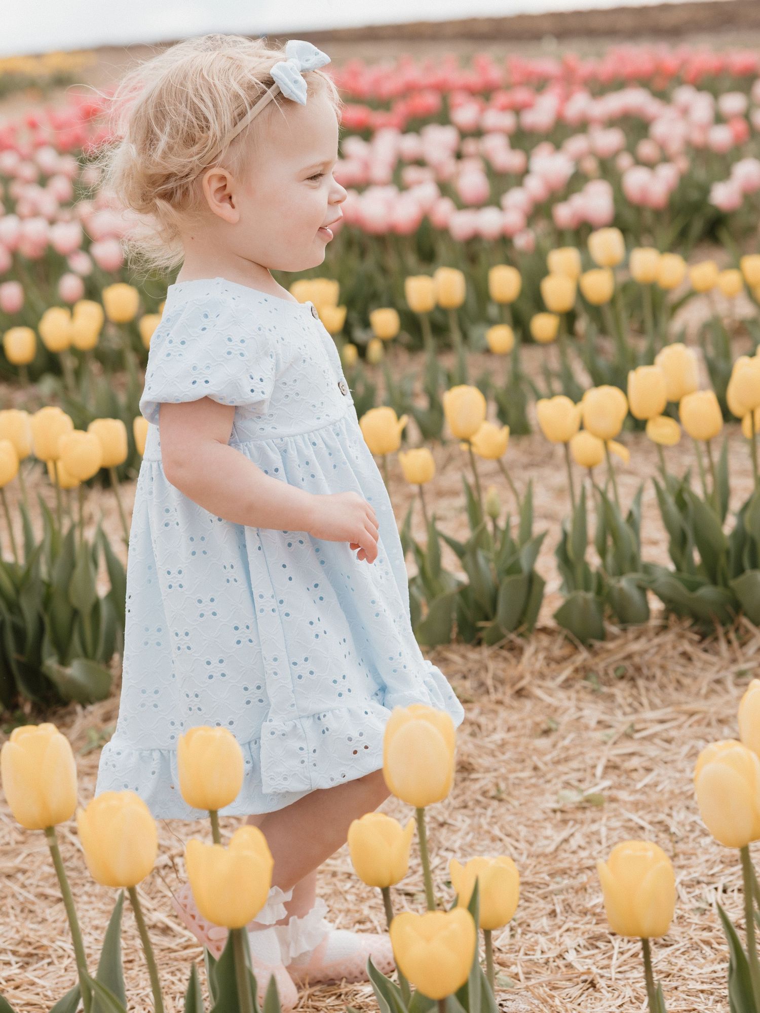Toddler girl in light blue eyelet dress with bow stands among yellow and pink tulips in a colorful flower field.