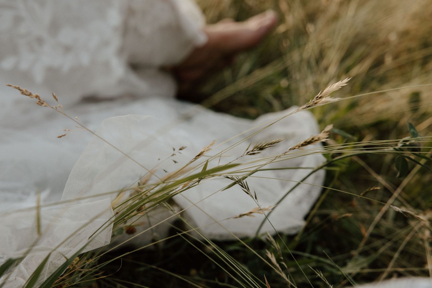 Person in white dress sitting in tall golden grass field with wild grass stalks in foreground.