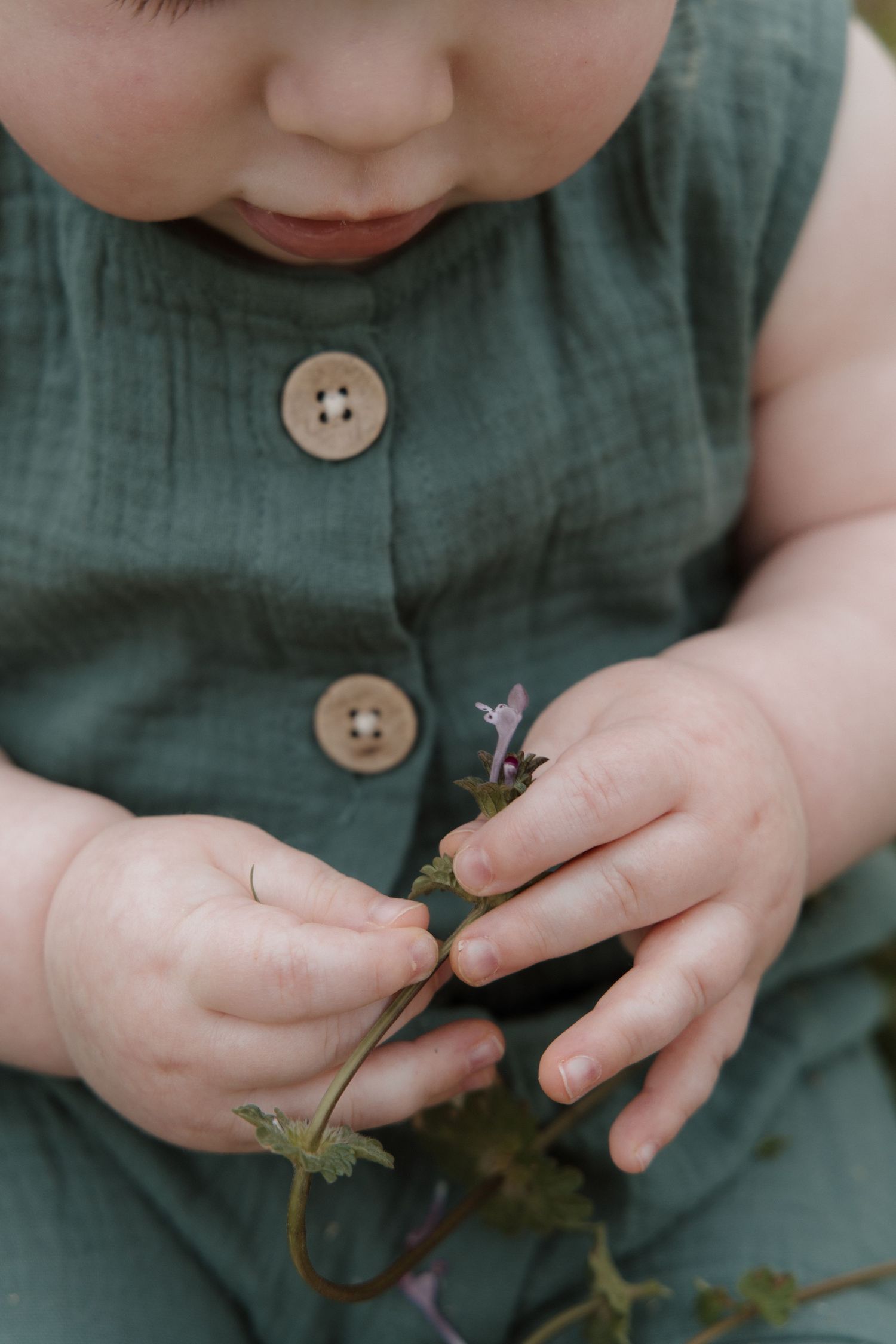 Chubby baby hands gently holding a small wildflower stem while wearing a green linen romper.