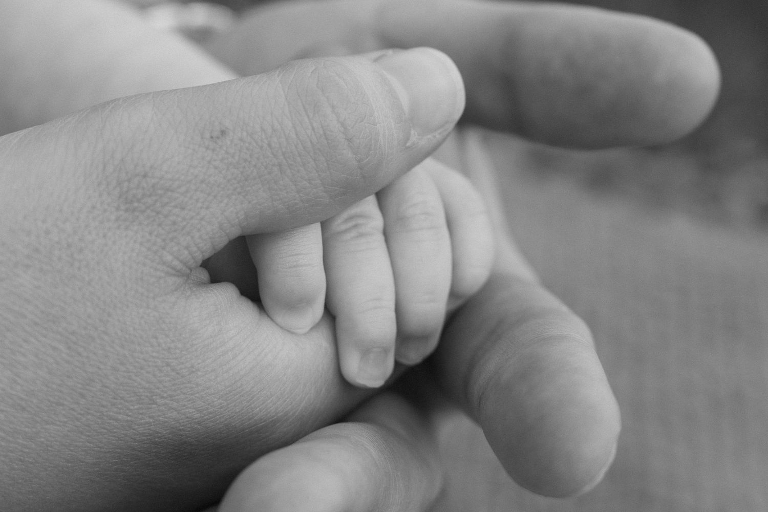 Black and white photo of a tiny newborn baby hand gently gripping an adult finger.