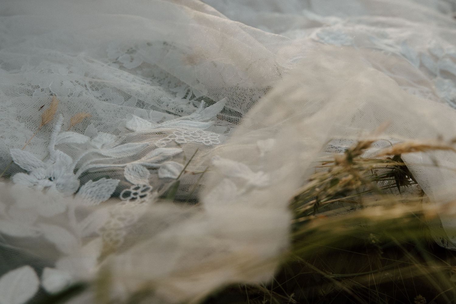Close-up of delicate white lace bridal veil with floral embroidery details resting on natural greenery.