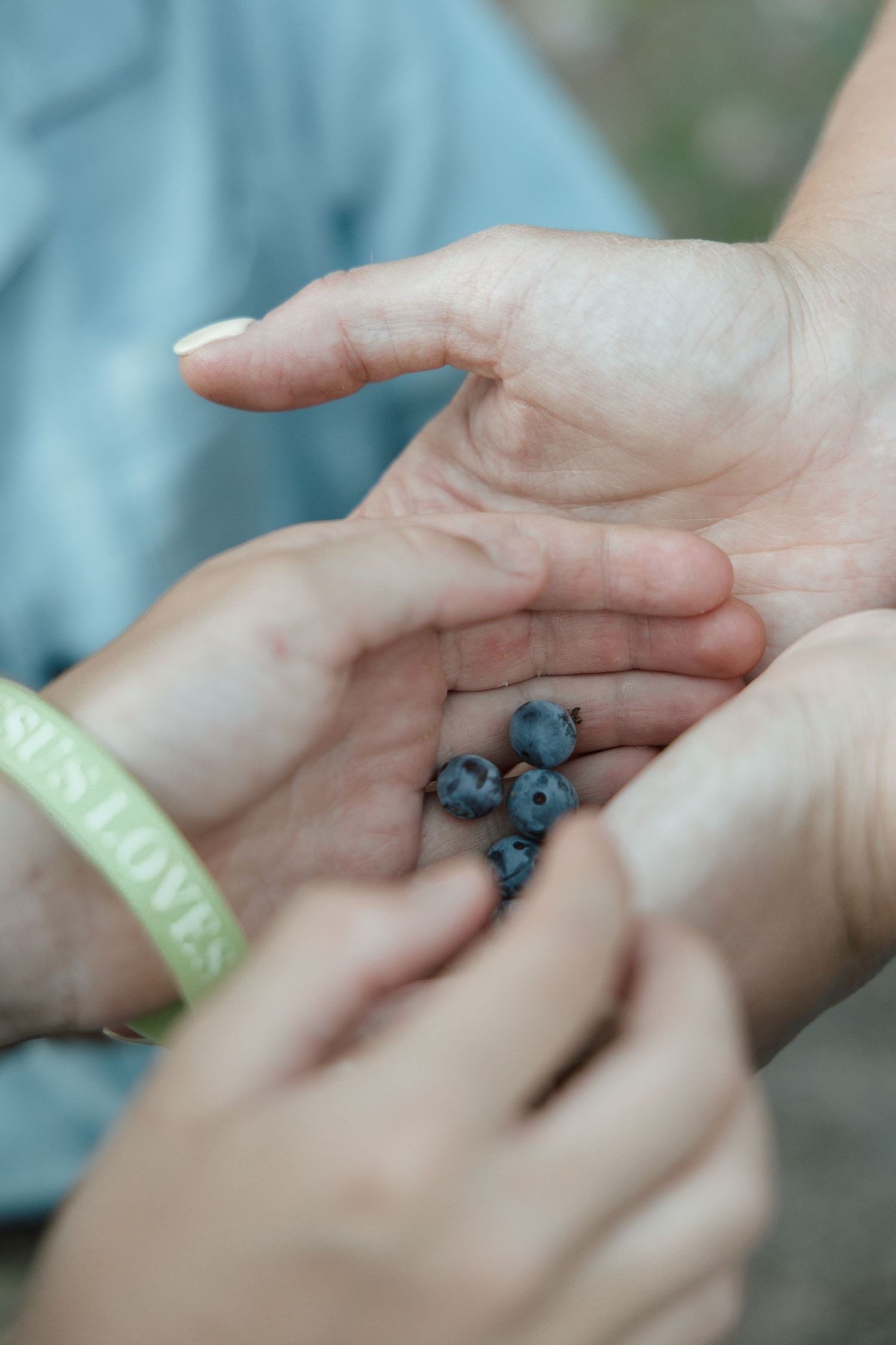 Close-up of two hands holding fresh picked blueberries, with a green bracelet visible on one wrist.