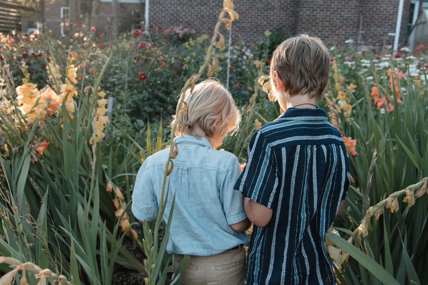 Two children stand among tall garden flowers, viewed from behind on a warm summer day.
