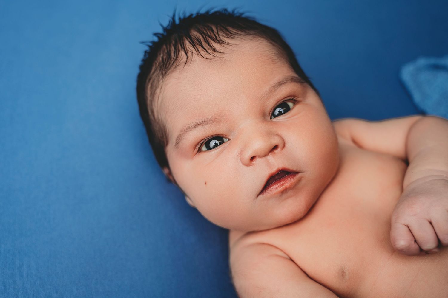Newborn baby with dark hair lying on a blue blanket, looking up with wide eyes in a professional portrait photo.