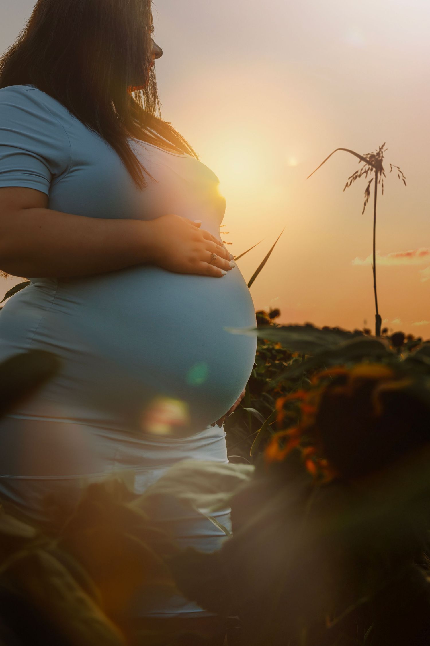 Silhouette of pregnant woman holding her baby bump in a sunflower field during golden sunset.