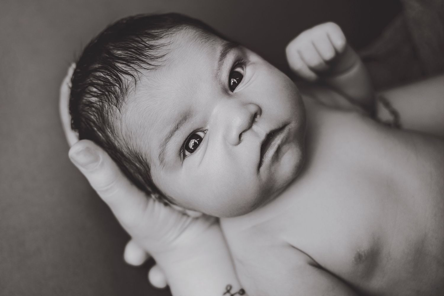 Black and white newborn baby portrait with dark hair and alert eyes lying on soft surface.
