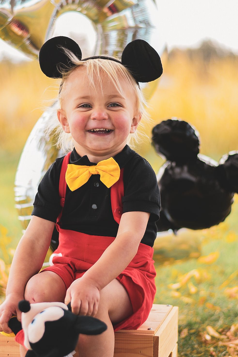 Smiling toddler in a Mickey Mouse costume with ears, yellow bow tie and red suspenders sits on a wooden crate beside a Mickey plush.