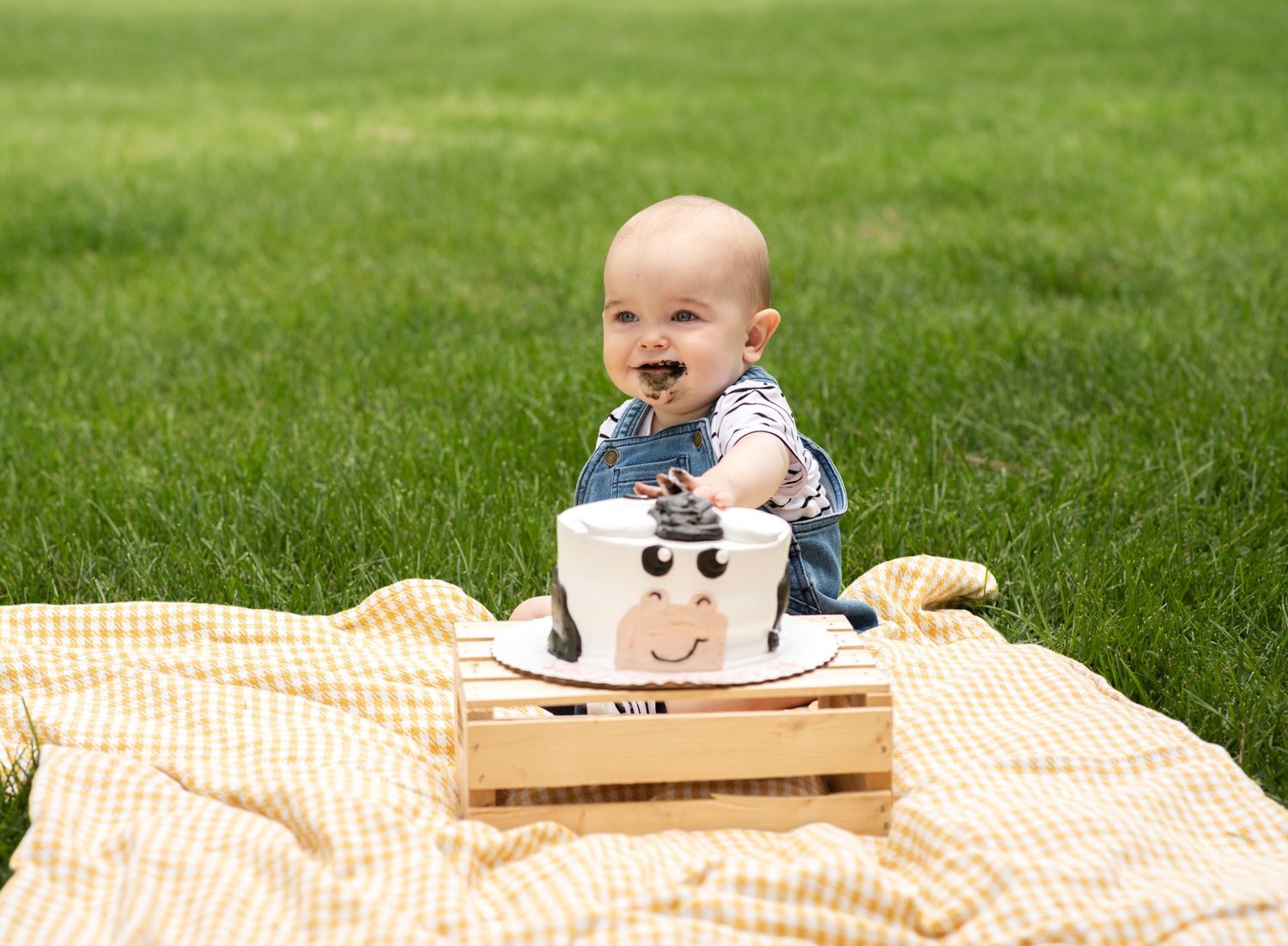 A smiling baby in denim sits on a picnic blanket with a cow-themed smash cake on green grass.