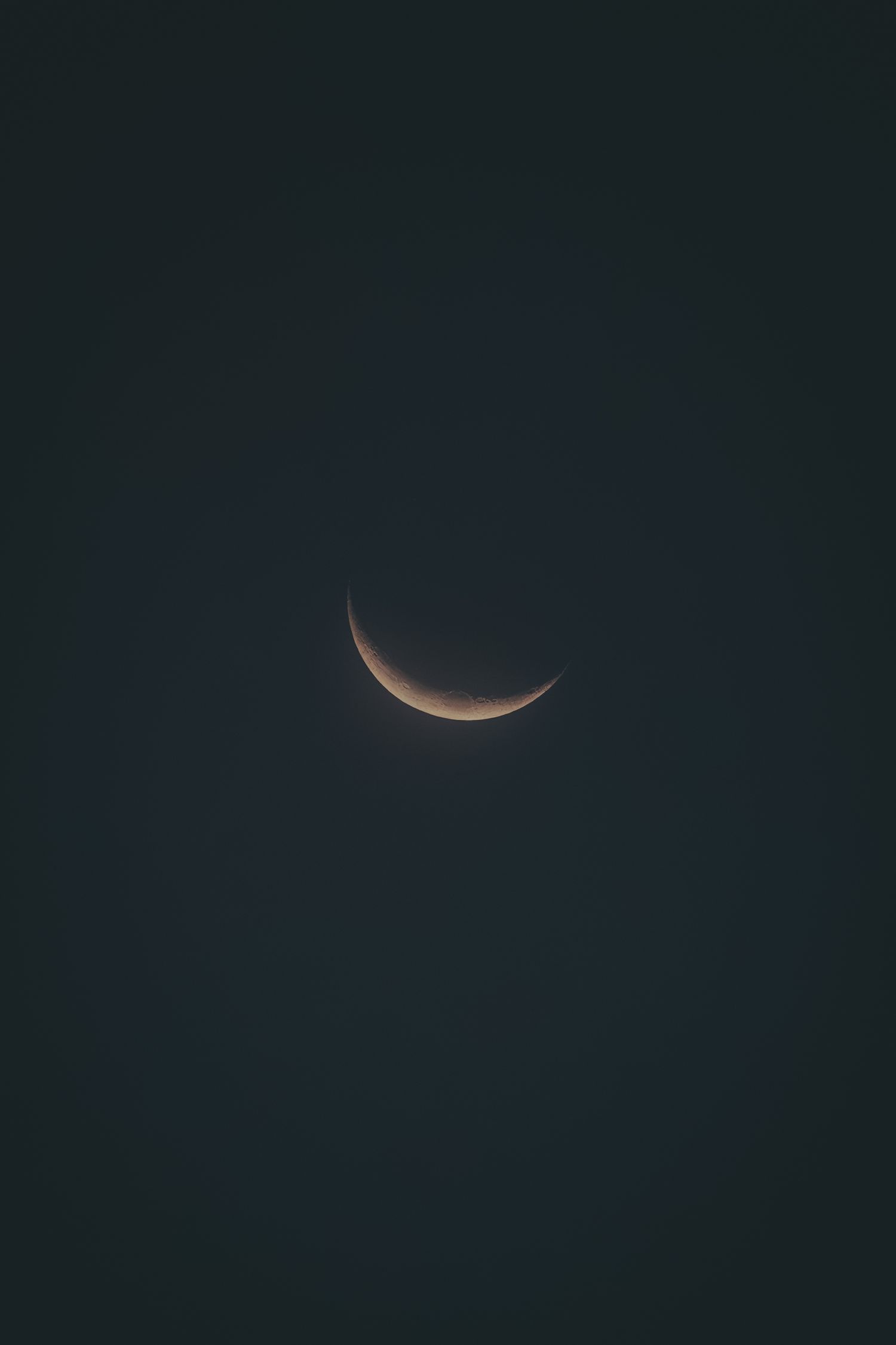 Thin crescent moon visible in dark evening sky.