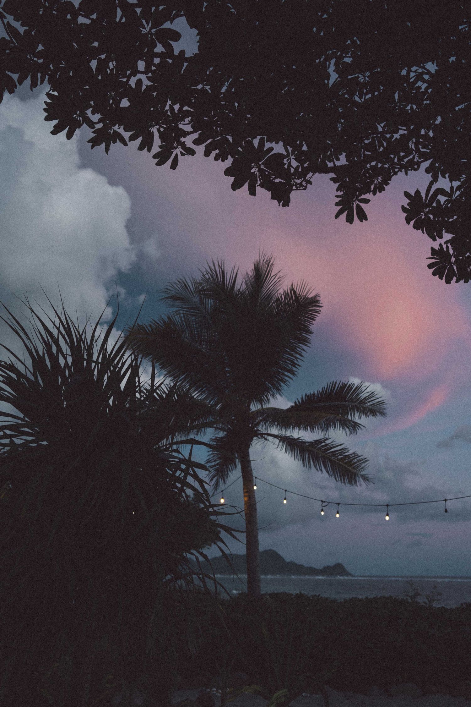 Palm trees silhouetted against colorful evening sky with scattered clouds.