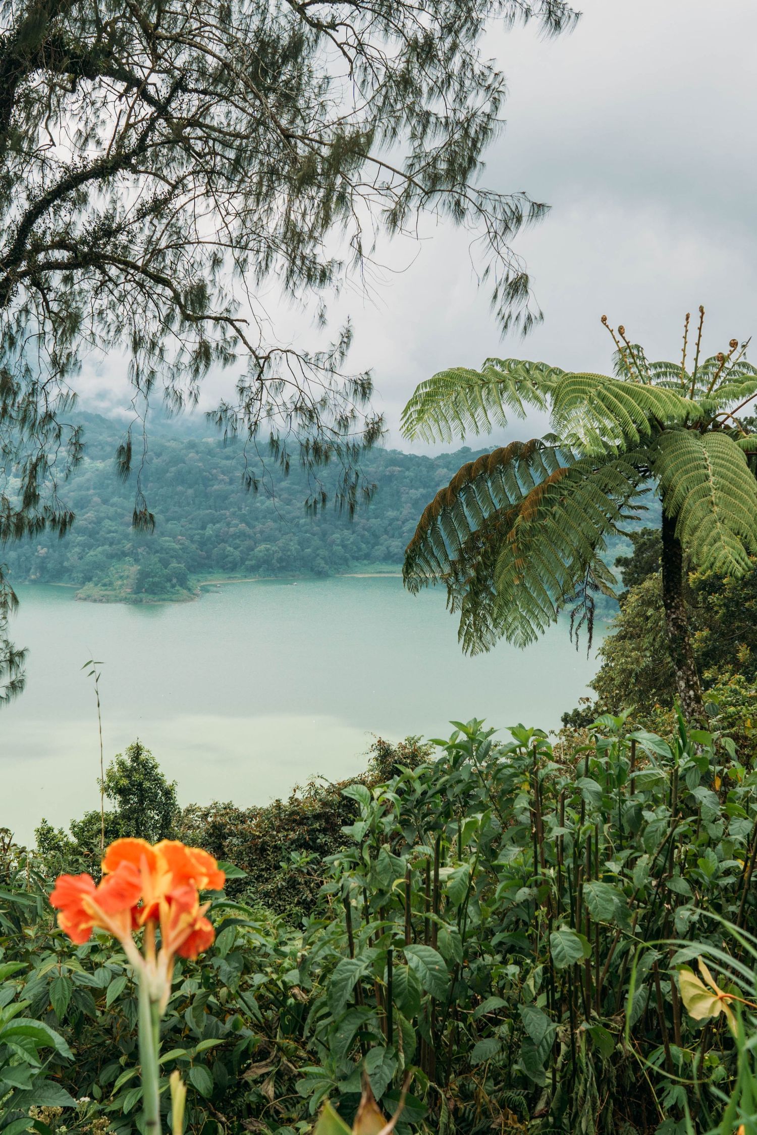 Lush landscape with flowering plants, trees, and calm lake in the distance.