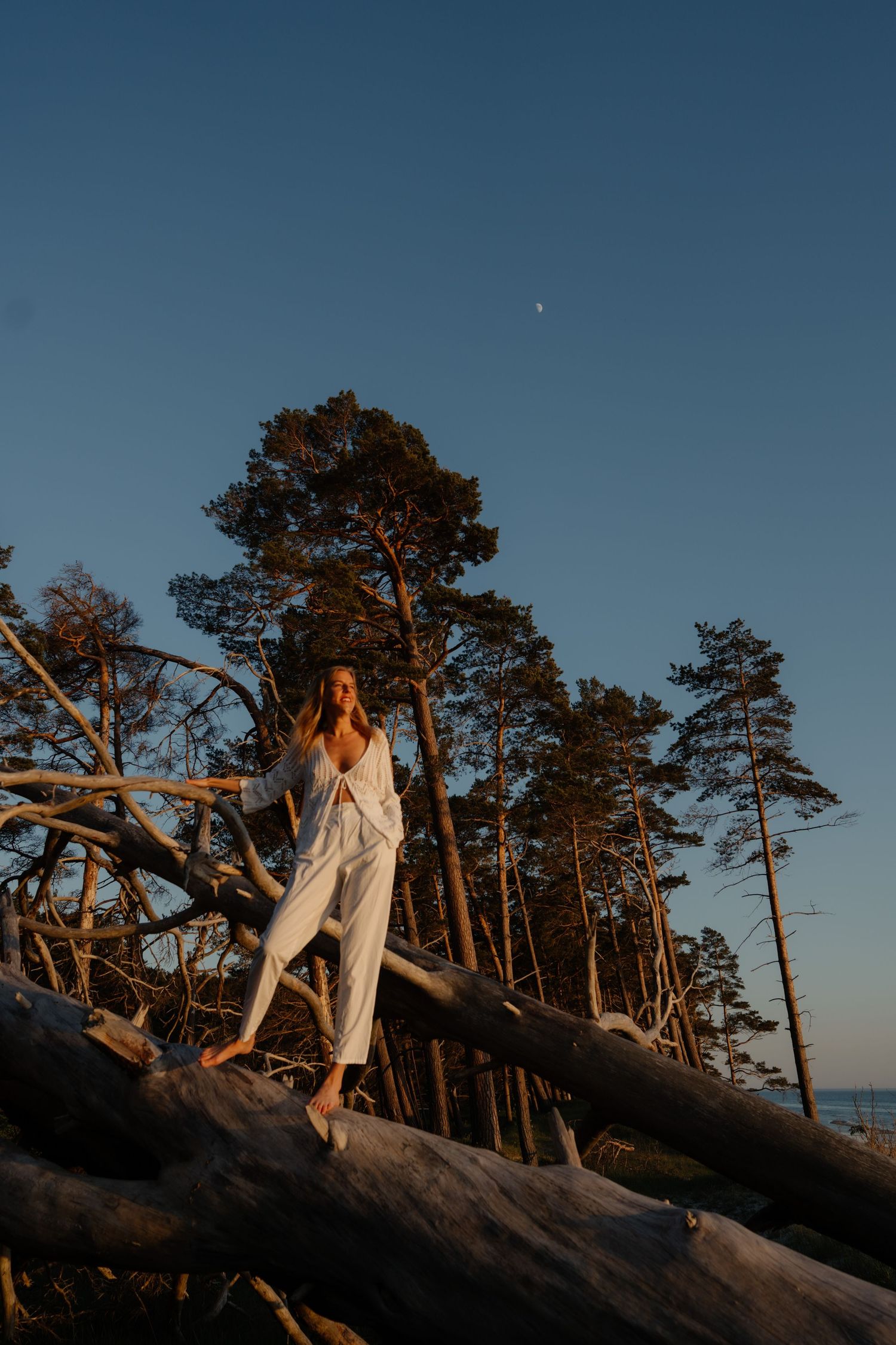 Woman standing on fallen tree near forest edge in soft evening light.