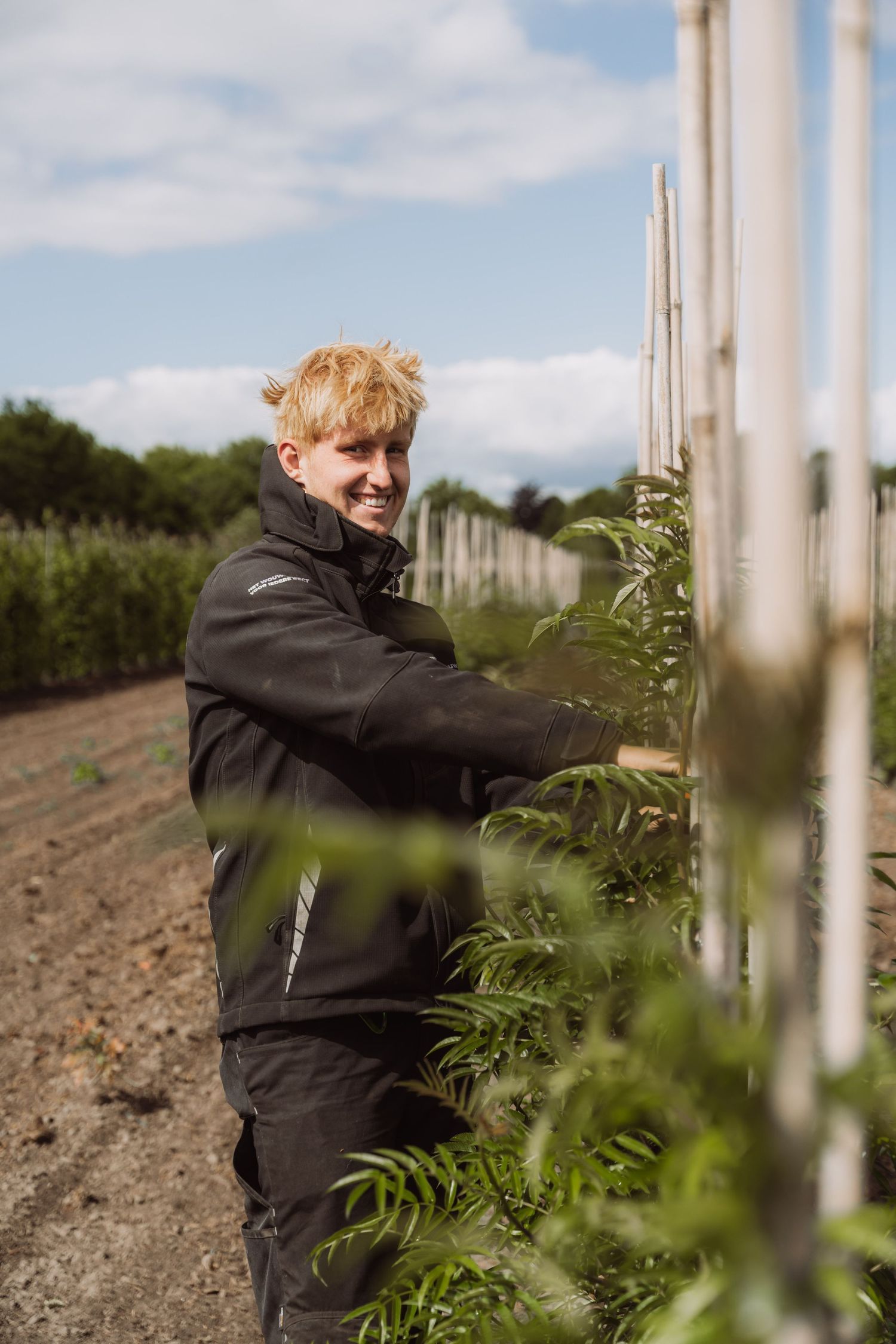 Agricultural worker tending to plants among white support poles in a field.