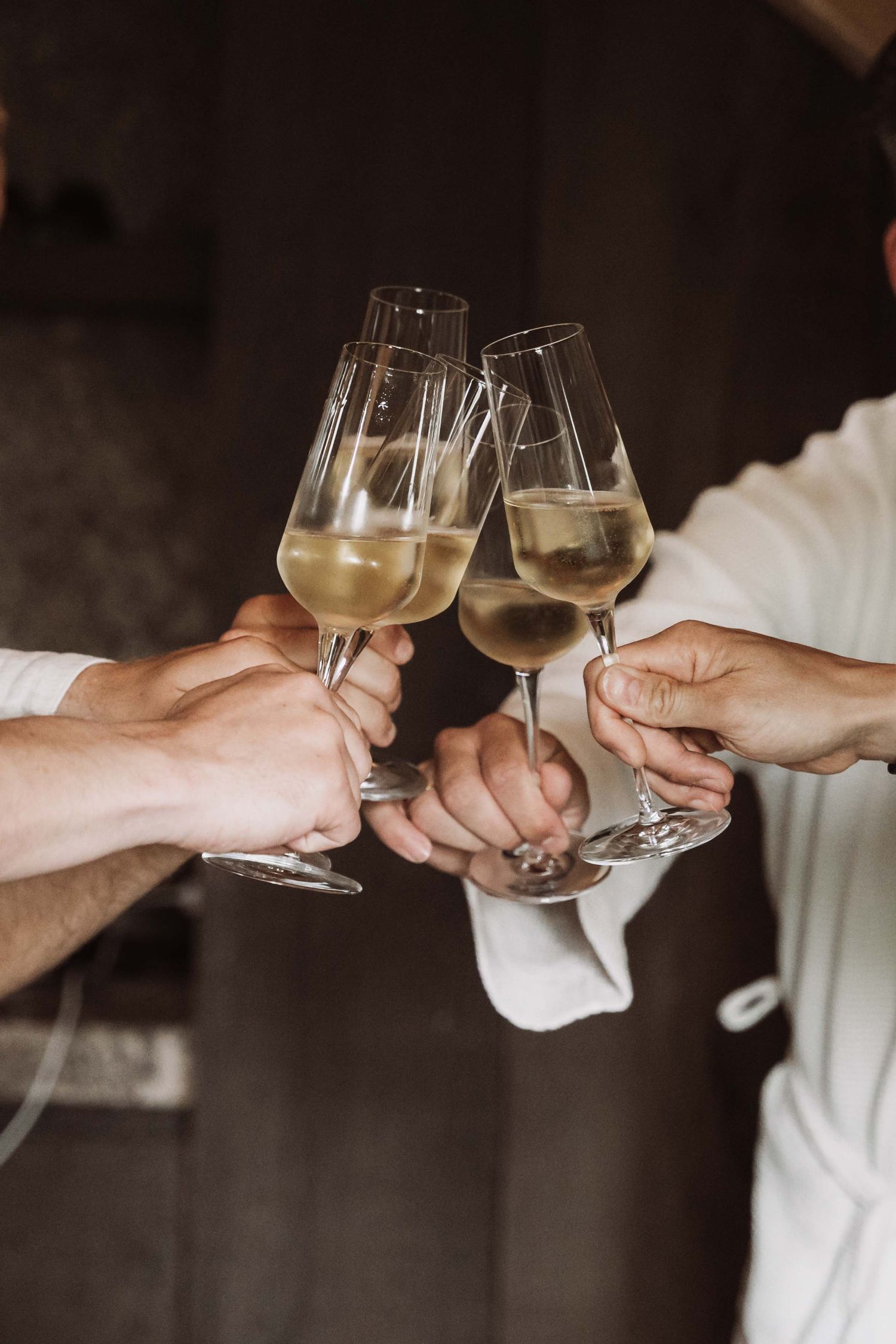 Multiple hands clink wine glasses together in a celebratory toast against a dark background.