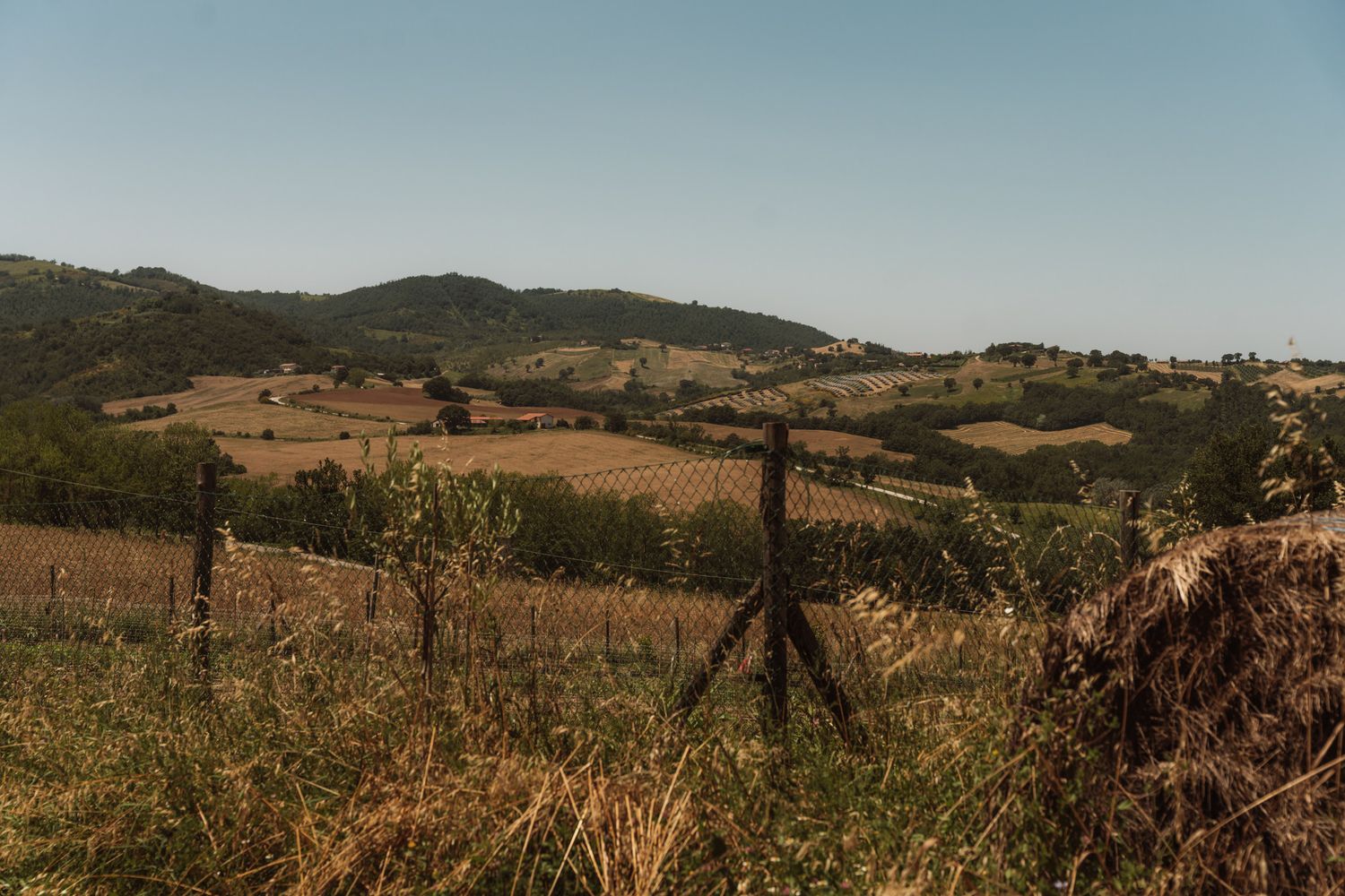 Rolling hills and countryside landscape with dry grass and trees stretching into the distance under a blue sky.
