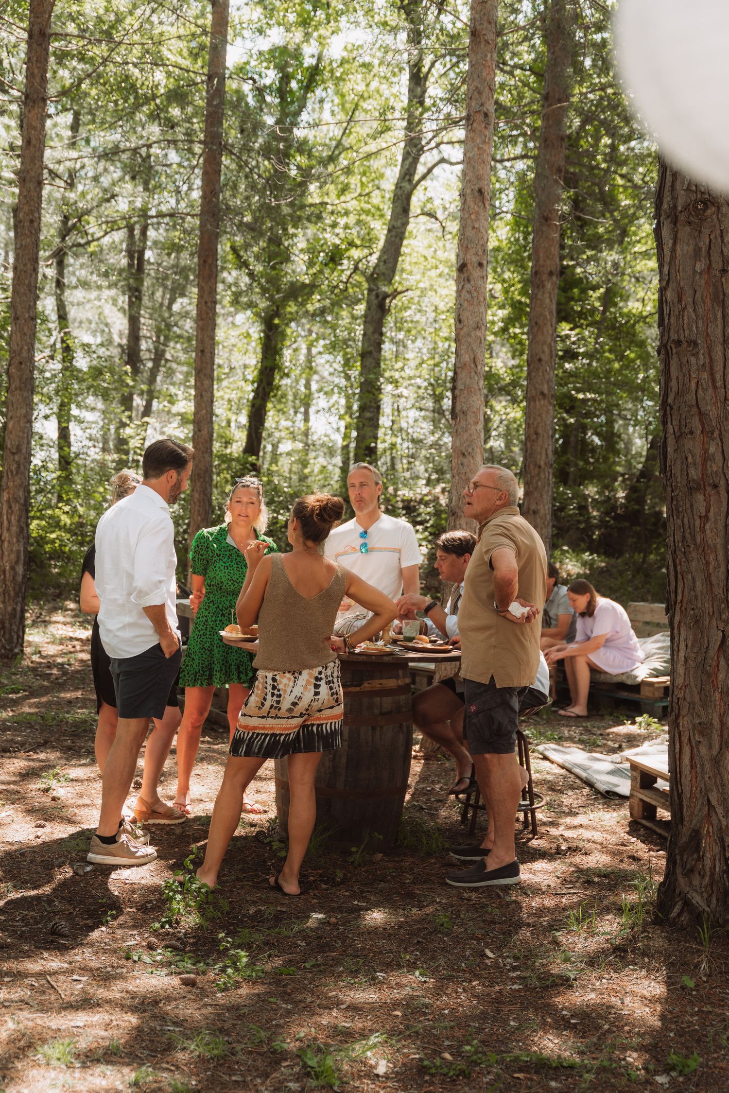 Group of people gathered for an outdoor picnic under tall pine trees in a wooded setting.