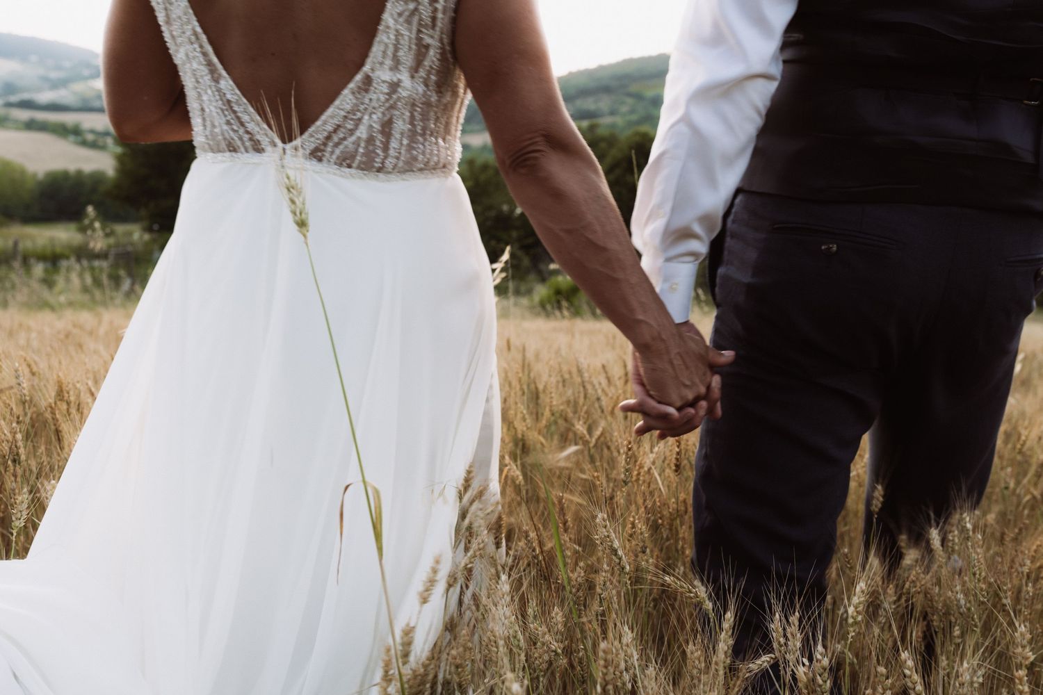 A couple in wedding attire holds hands while walking through a golden wheat field at sunset.