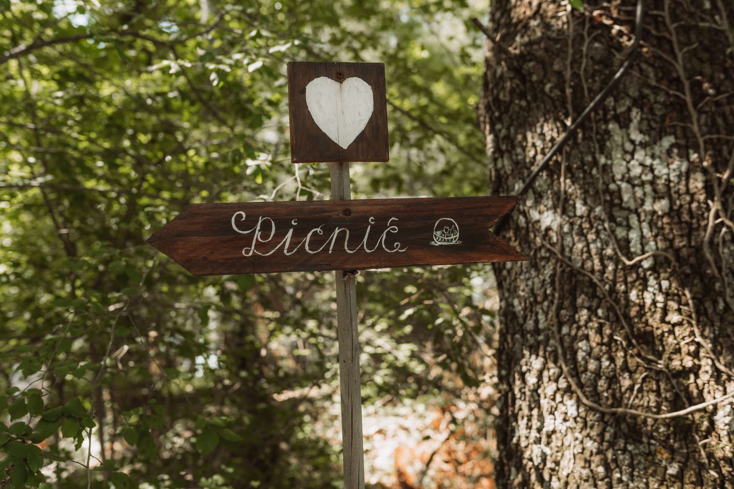 A rustic wooden sign with the word 'Picnic' hangs from a tree branch in a wooded outdoor setting.