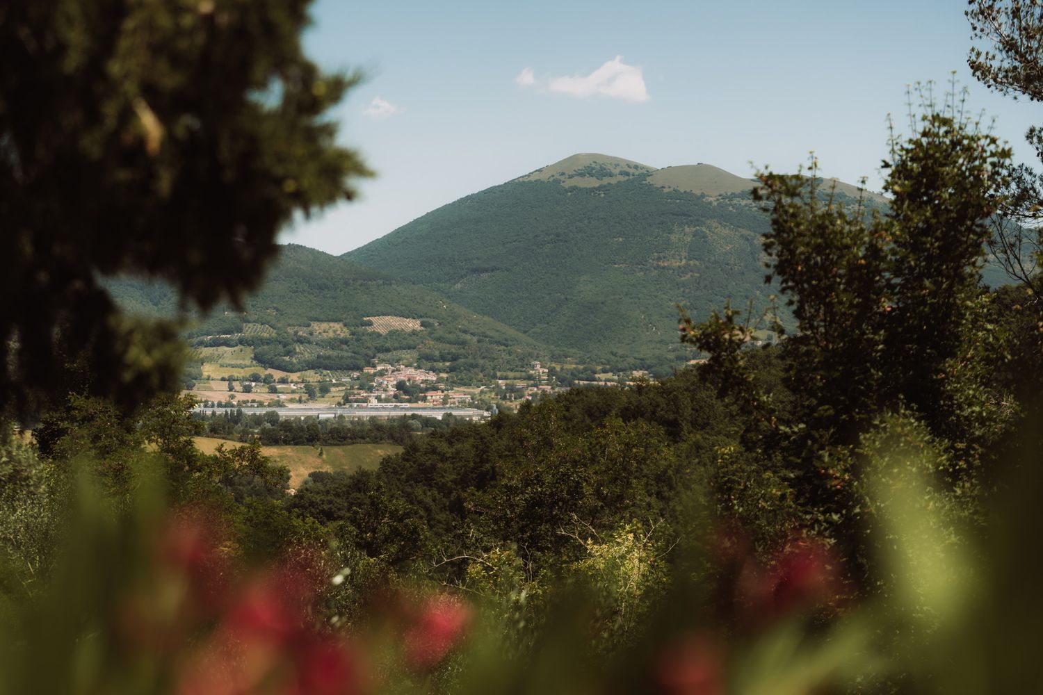 Scenic mountain landscape with blurred red flowers in foreground and distant hills under blue sky.