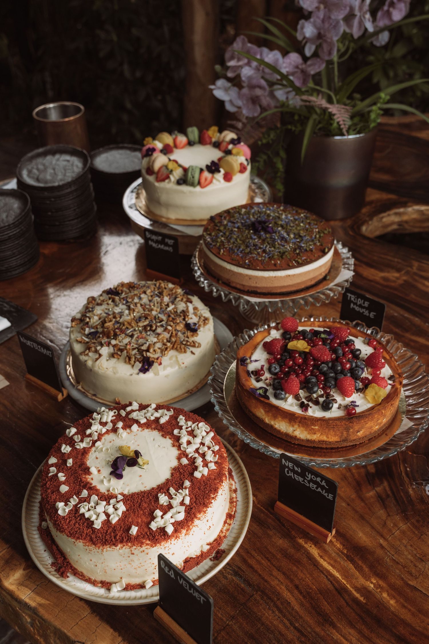 An assortment of beautifully decorated cakes with berries, chocolate, and toppings displayed on a rustic wooden table.