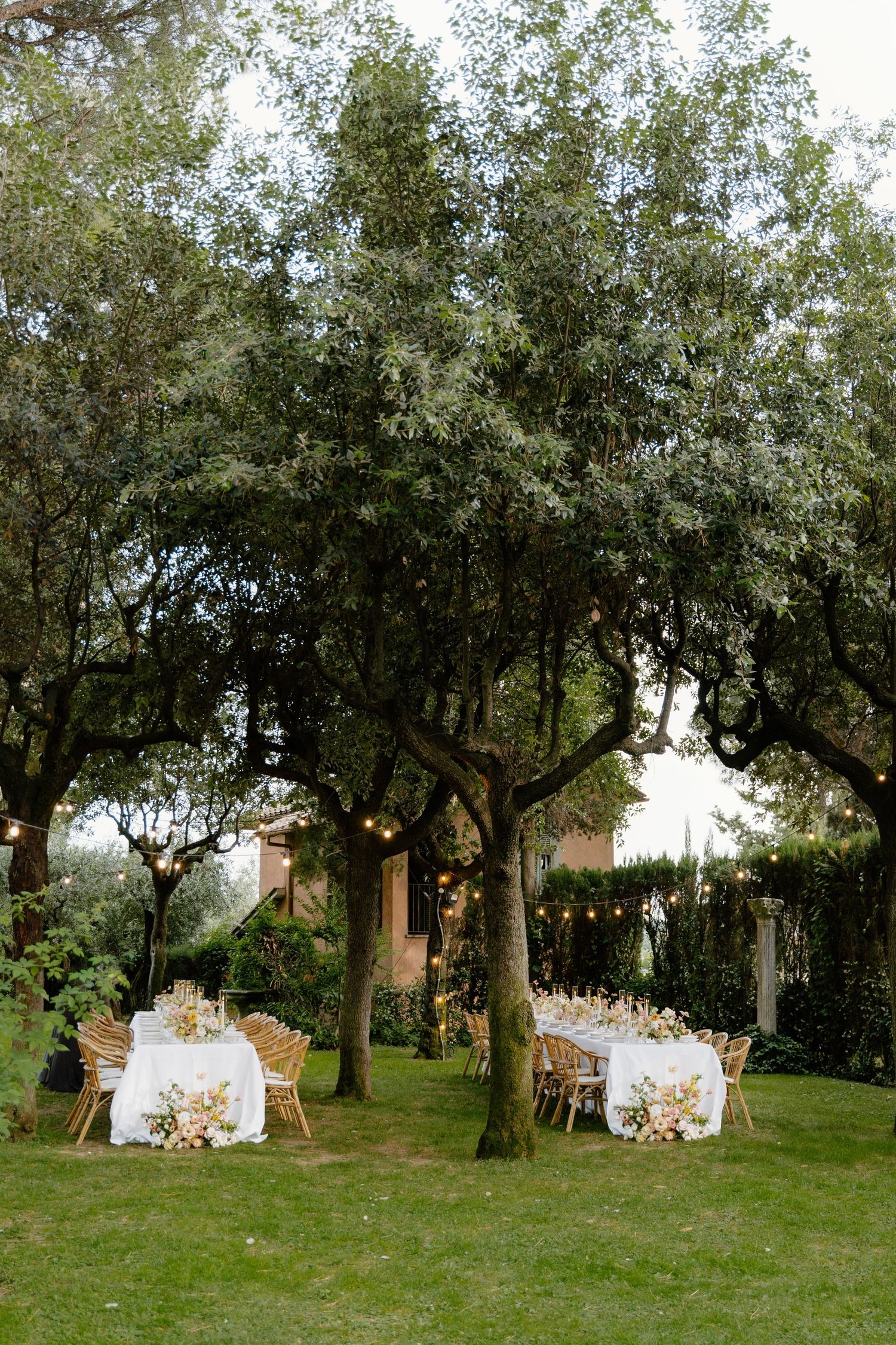 Outdoor wedding venue setup under olive trees with white decorated tables.