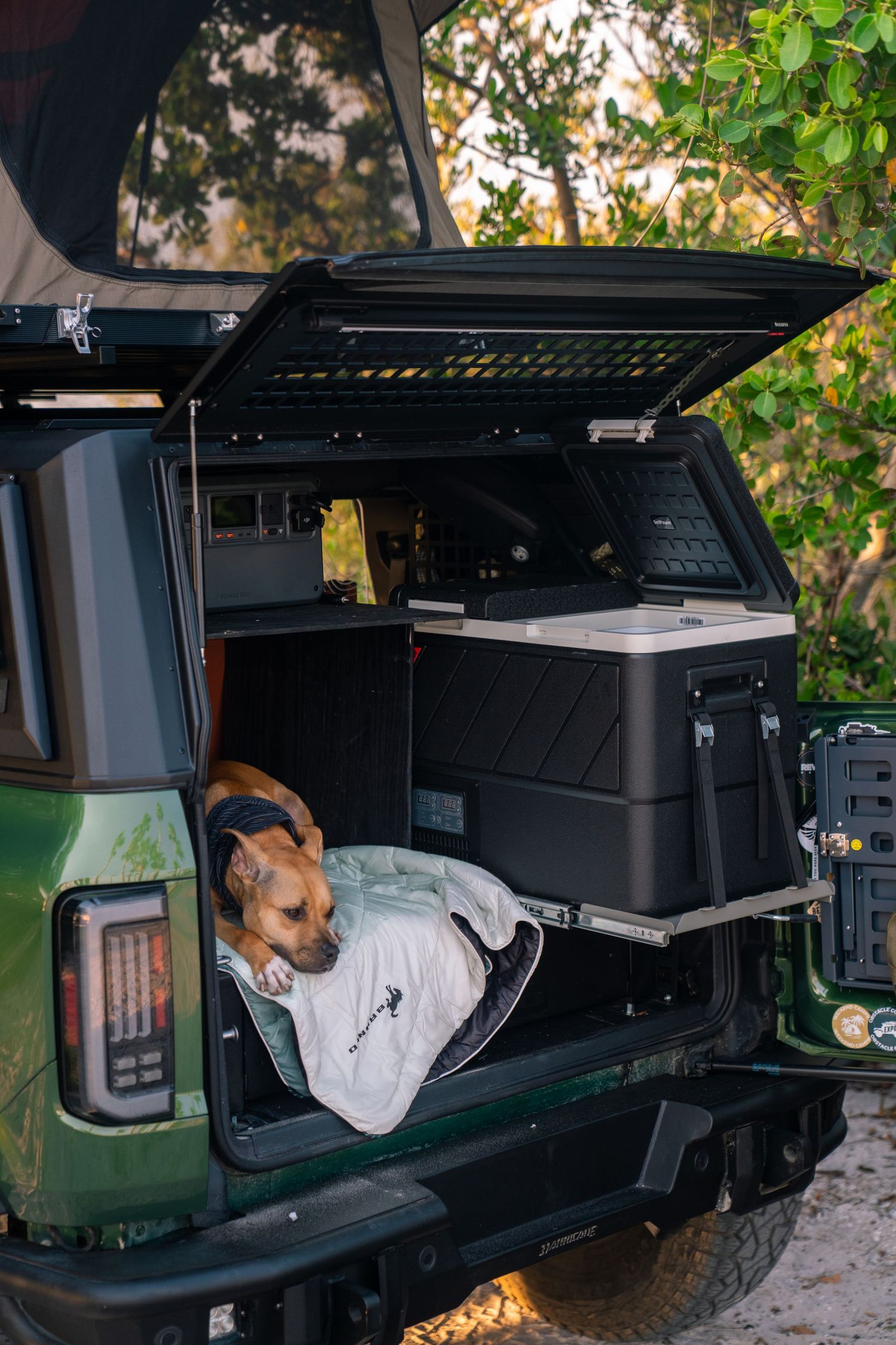Dog resting on blanket in cargo area of modified Ford Bronco with storage system.