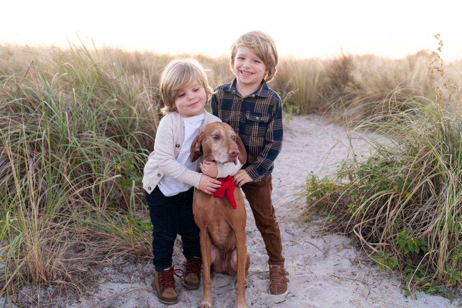 A brown dog and child walk together on a sandy beach path through tall grass and dunes at sunset.