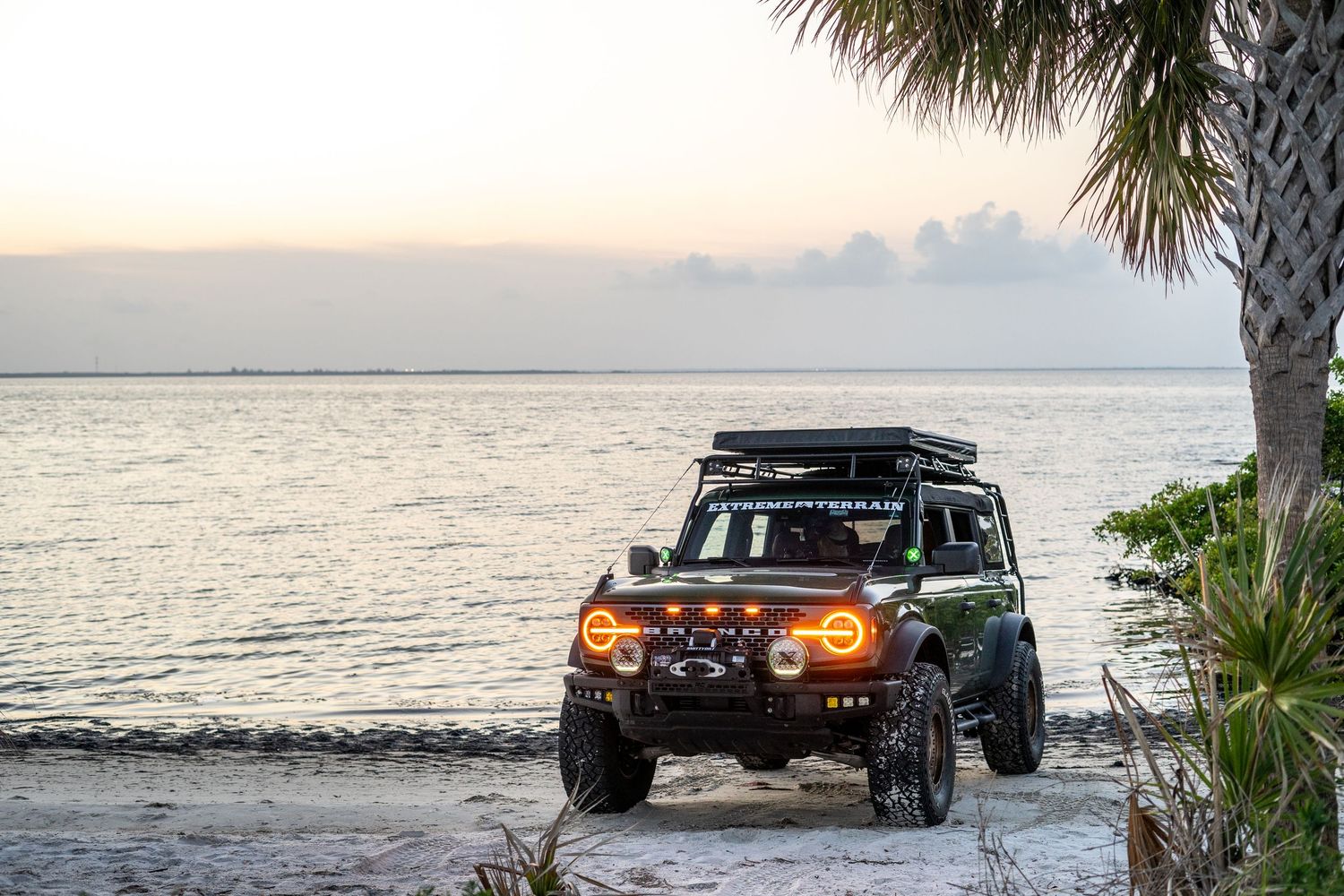 Green off-road vehicle parked on a scenic beach with palm trees and ocean view.