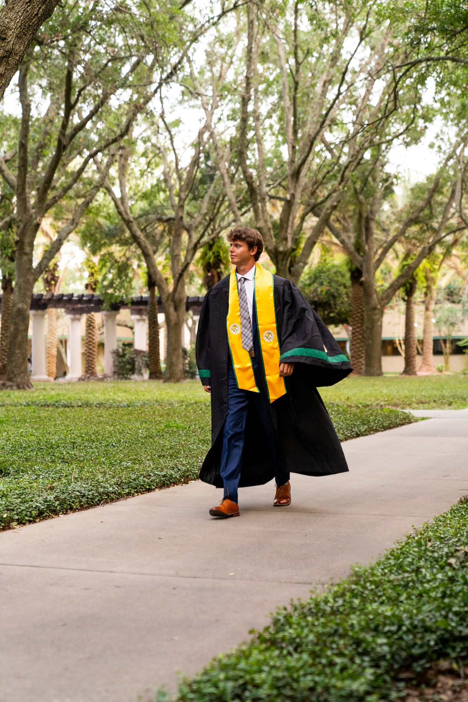 A series of graduation photos showing someone walking with a yellow stole and cap and gown on a tree-lined pathway.