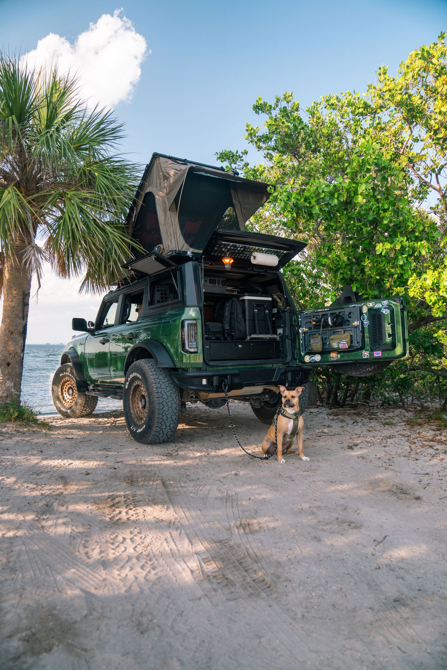 Modified green off-road vehicle parked on beach with dog sitting nearby.