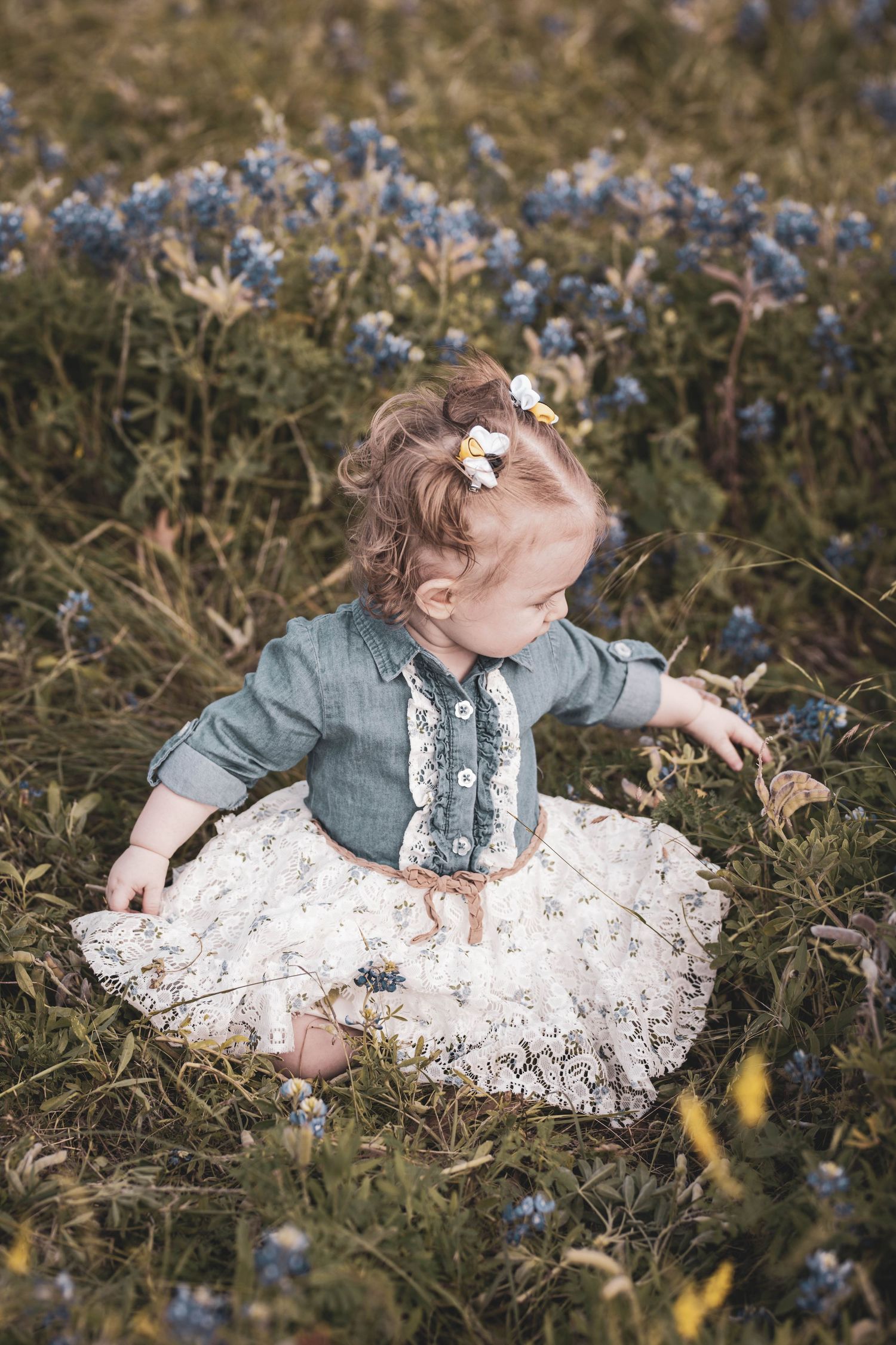 Toddler girl in lace skirt and denim top sitting among blooming bluebonnets in a field.