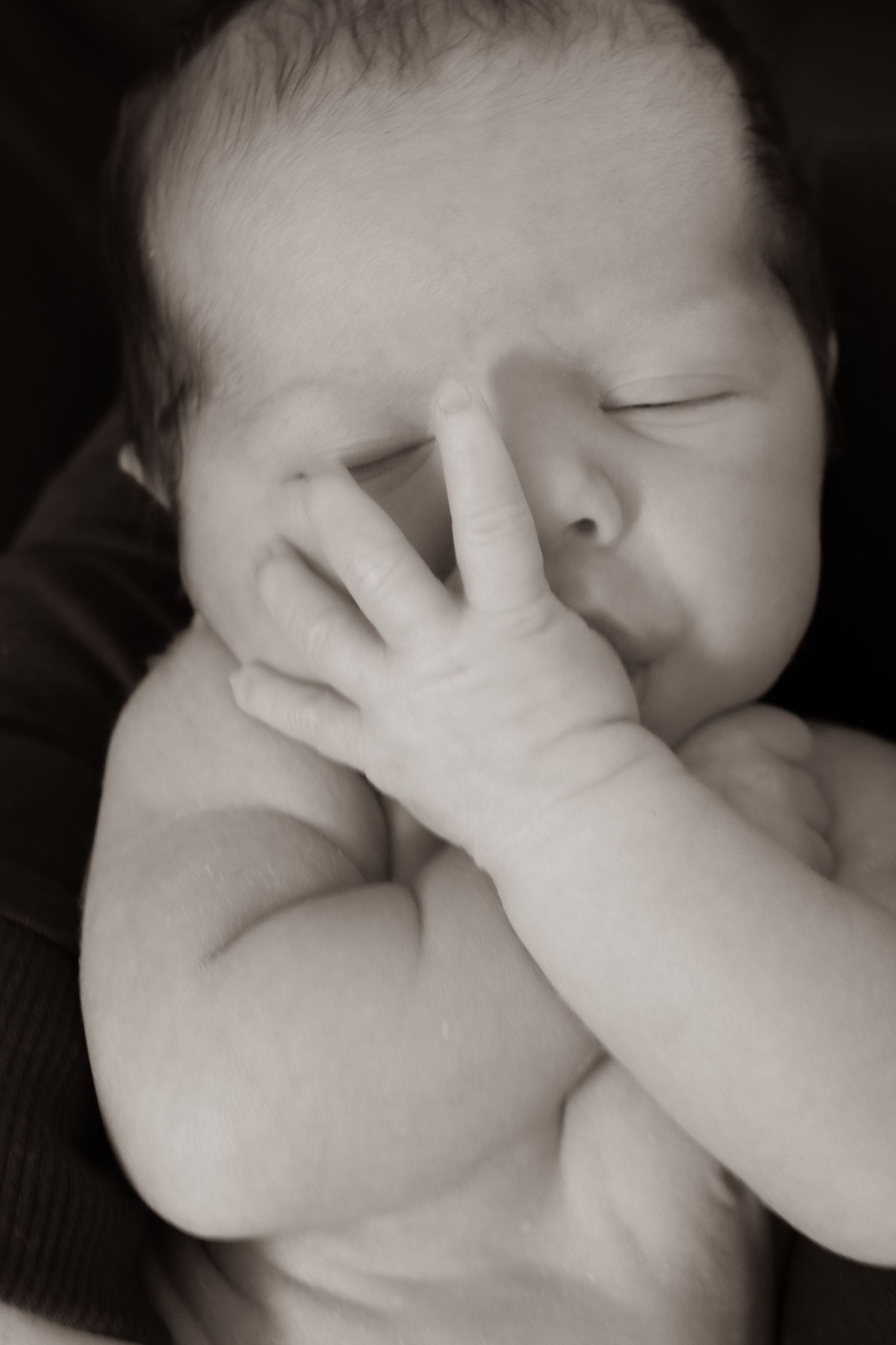 Newborn