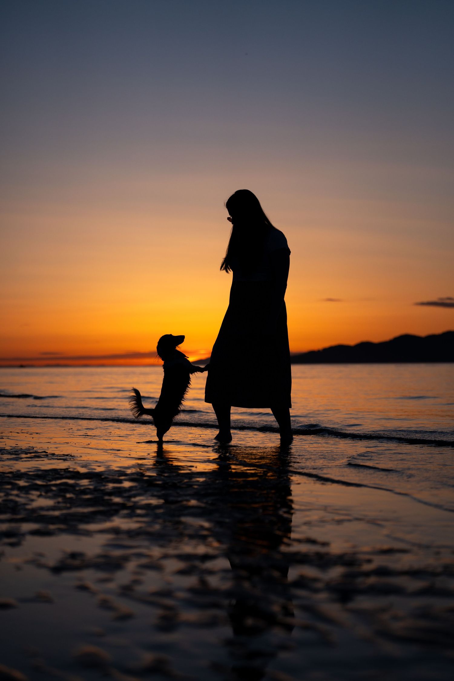 Silhouette of a woman and small dog facing each other in shallow water during a breathtaking beach sunset.