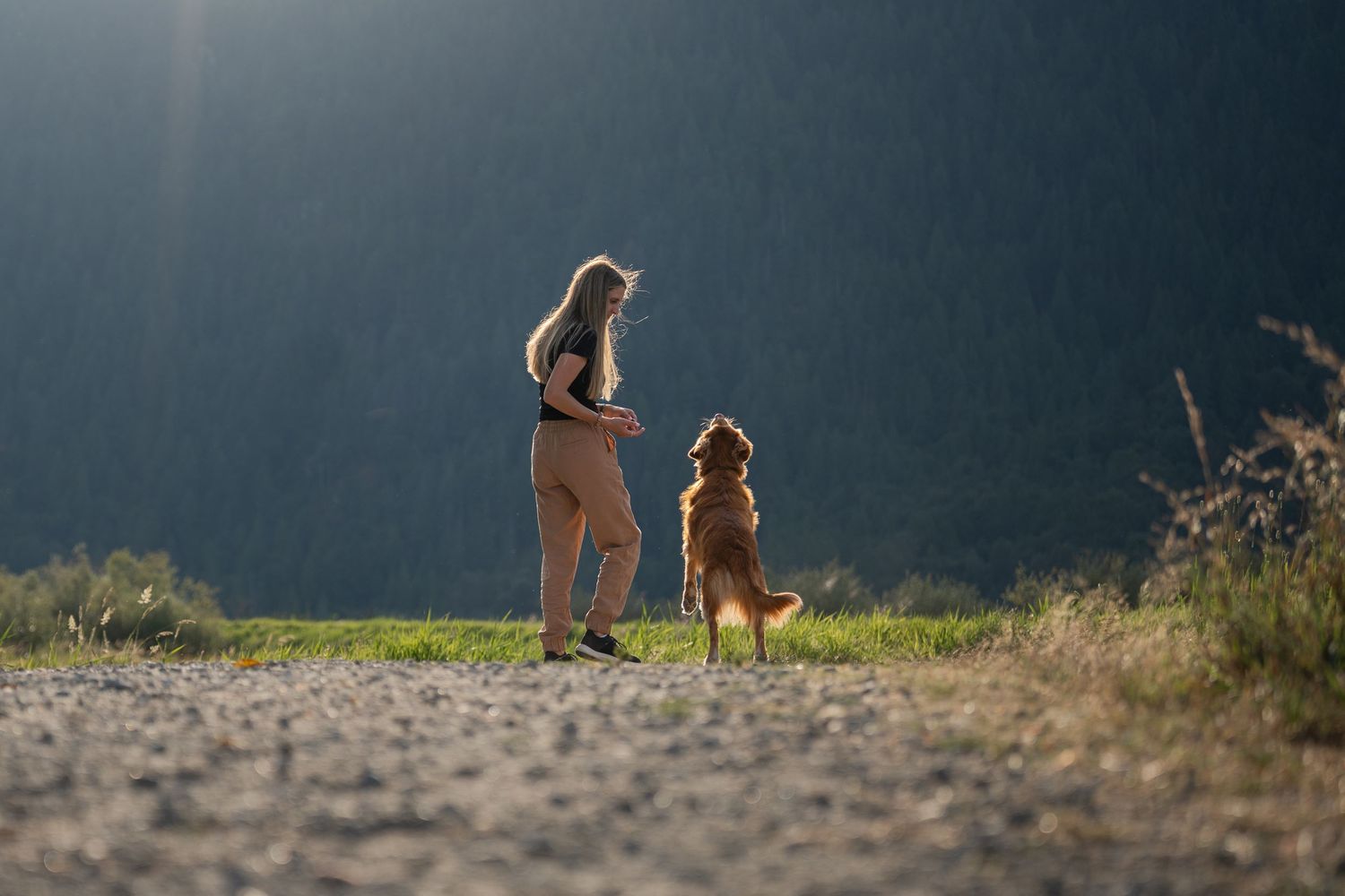 A woman throws her duck toller a treat at golden hour