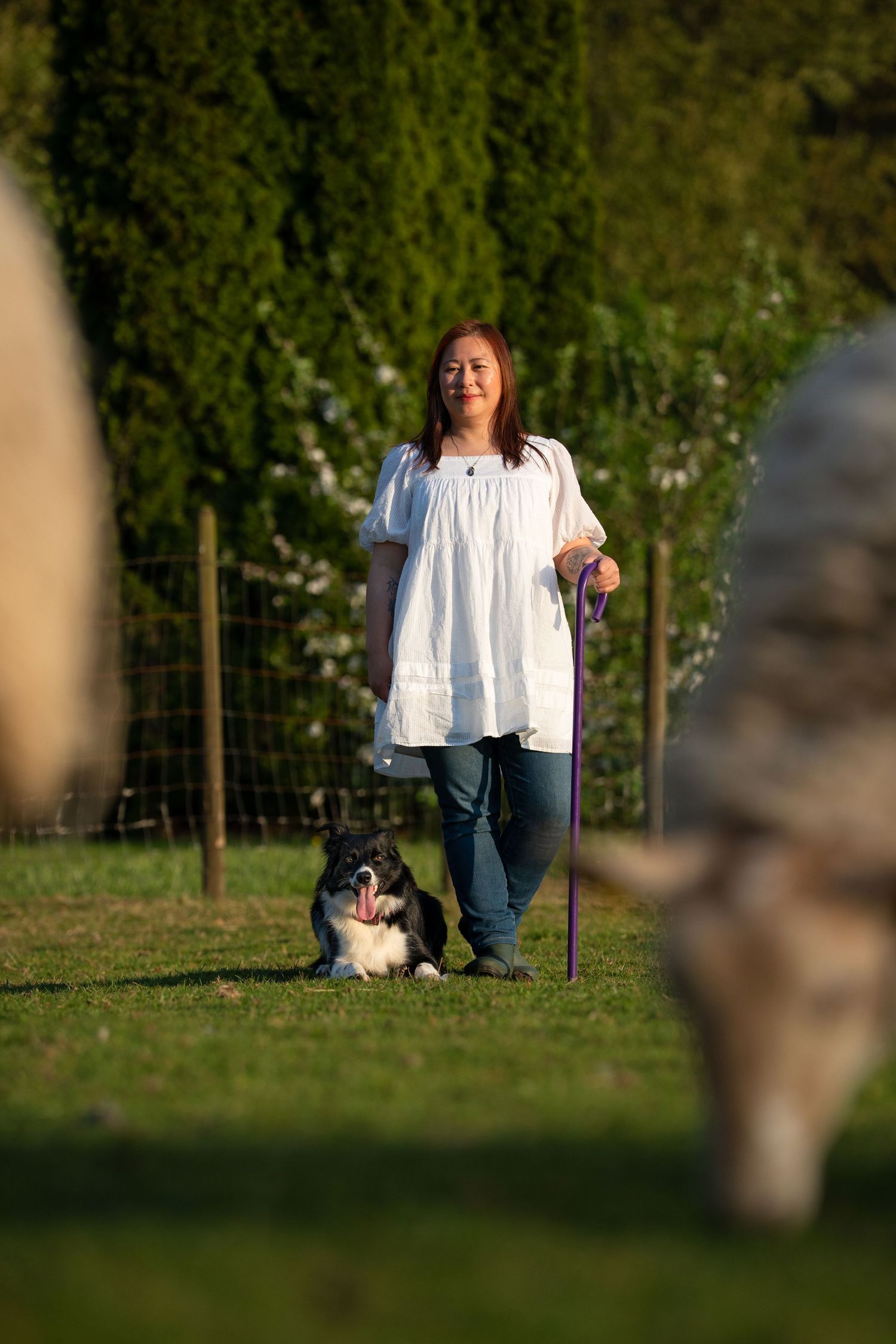 Woman in white dress stands with Border Collie dog on green farm, sheep grazing in foreground.