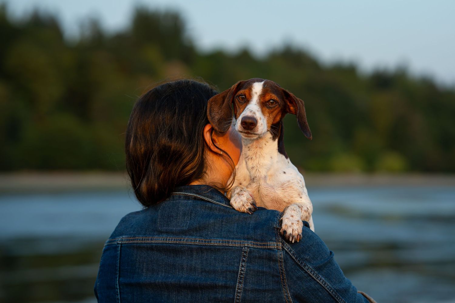 A woman in a denim jacket holds a small brown and white dog near a river with trees behind.