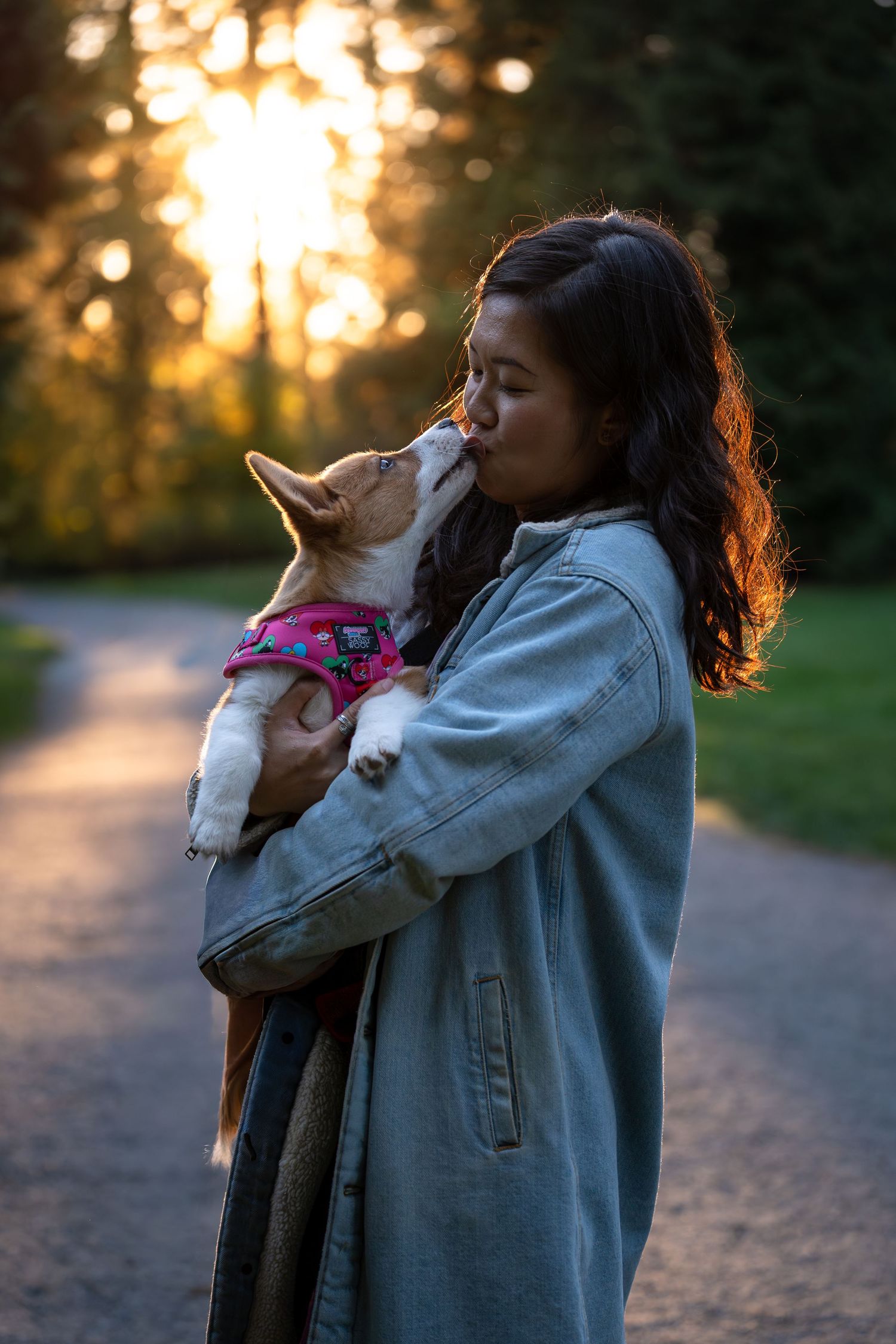 Young woman receiving a kiss from her Corgi puppy at sunset on a tree-lined park pathway.
